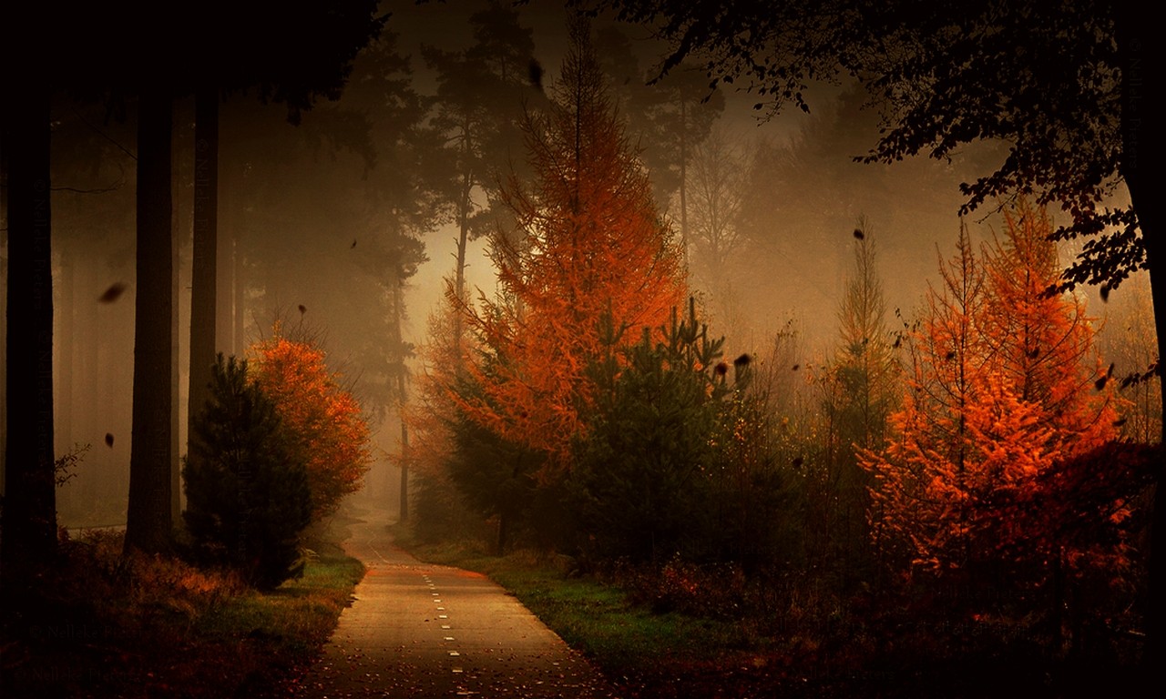 Autumn Evening Wallpapers