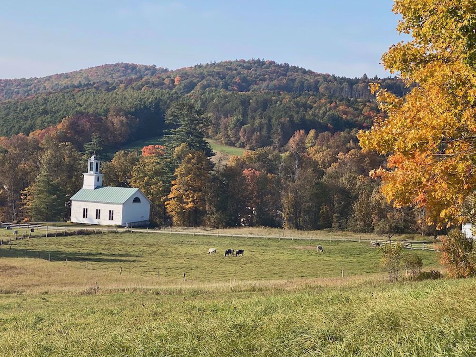 Autumn Fall Countryside Biker Wallpapers