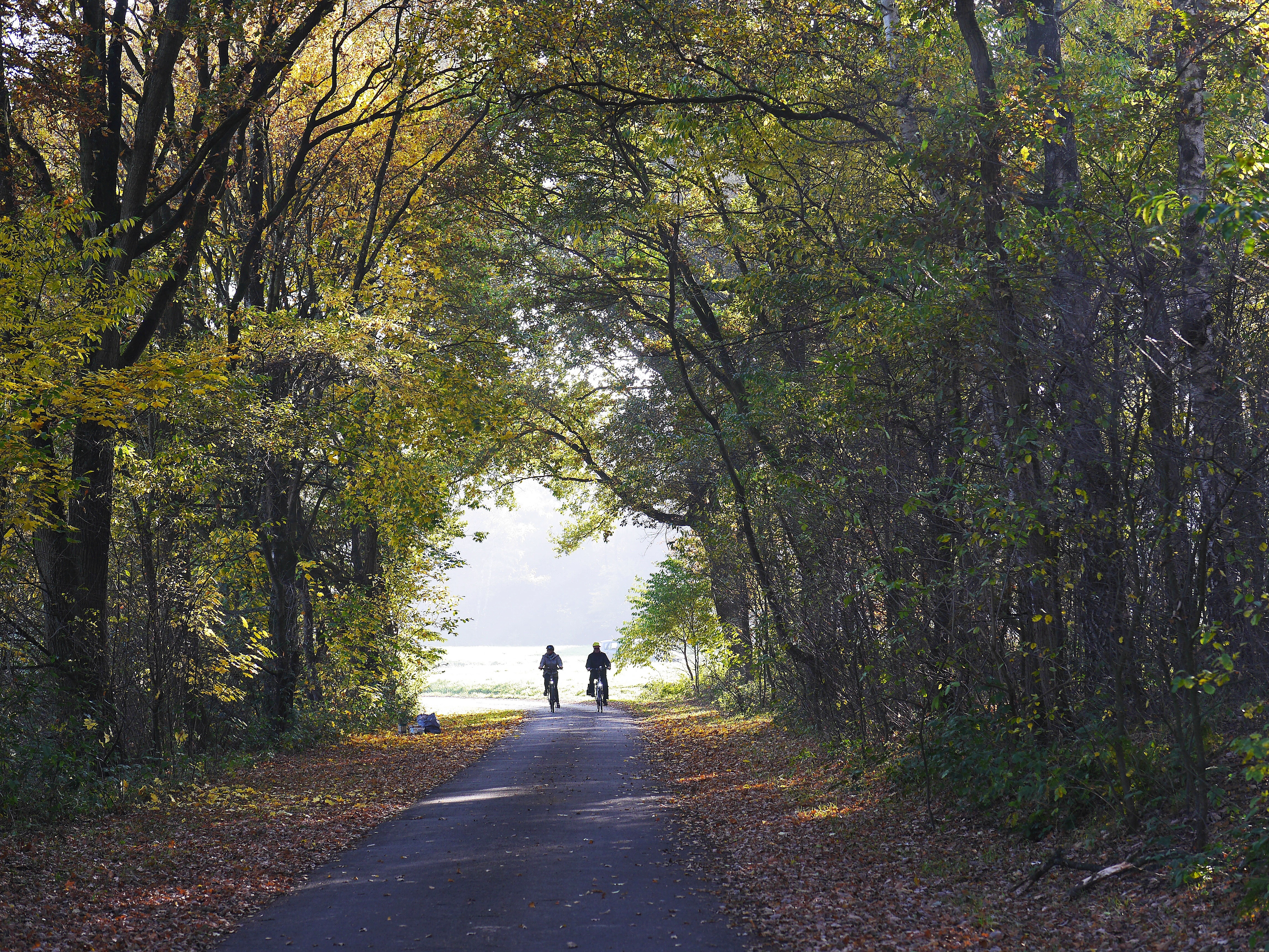 Autumn Fall Countryside Biker Wallpapers