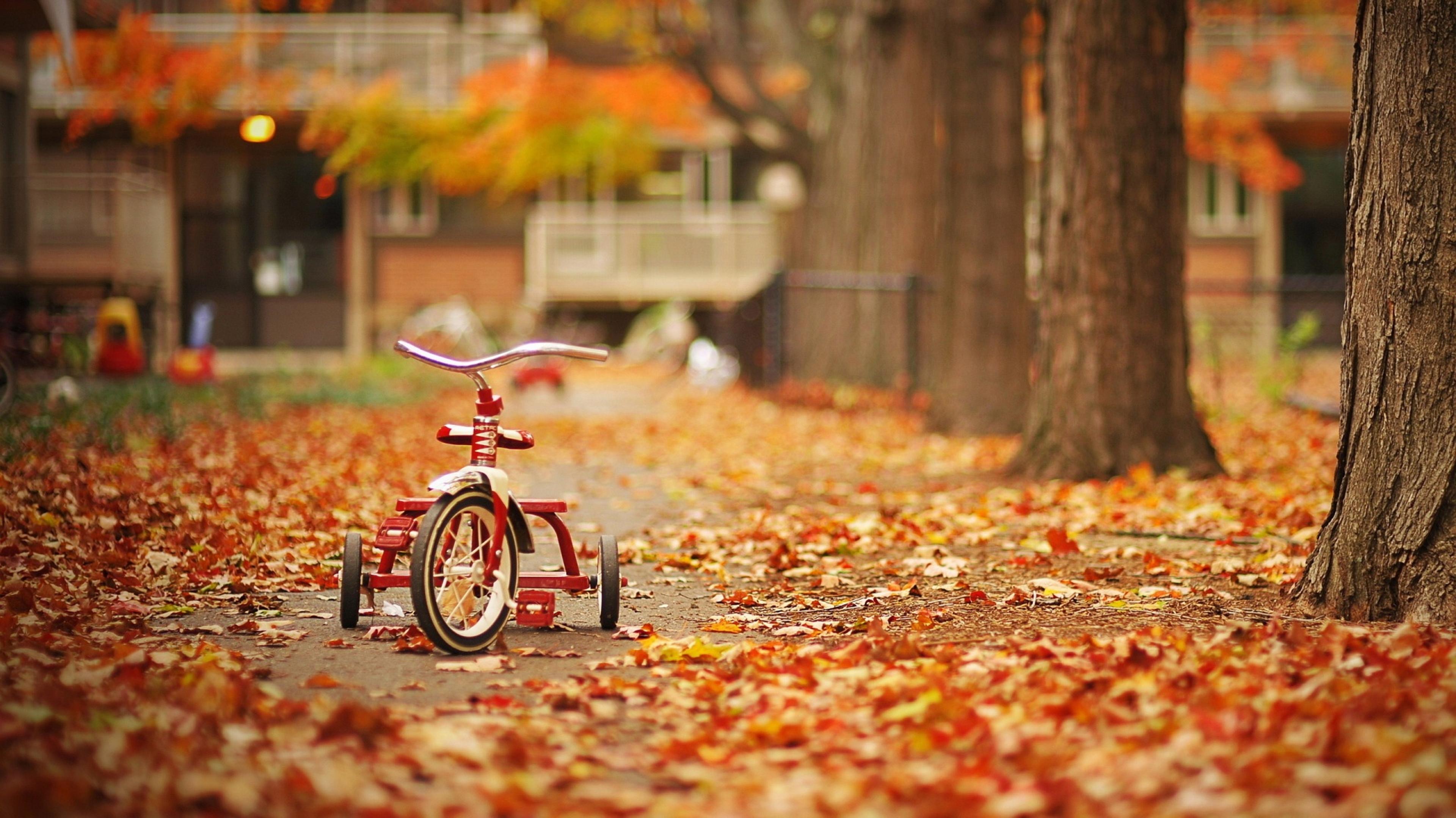 Autumn Fall Countryside Biker Wallpapers