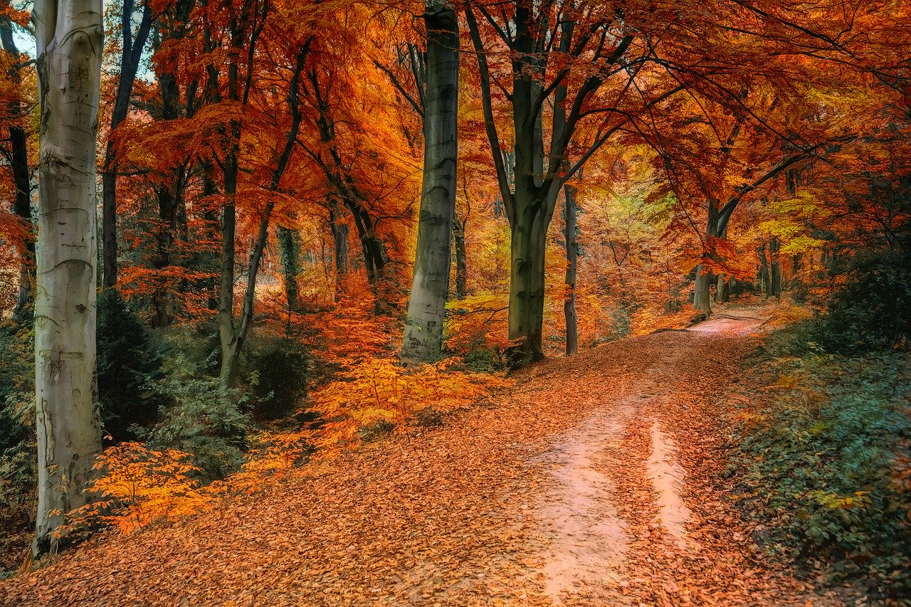 Autumn Fall Countryside Biker Wallpapers