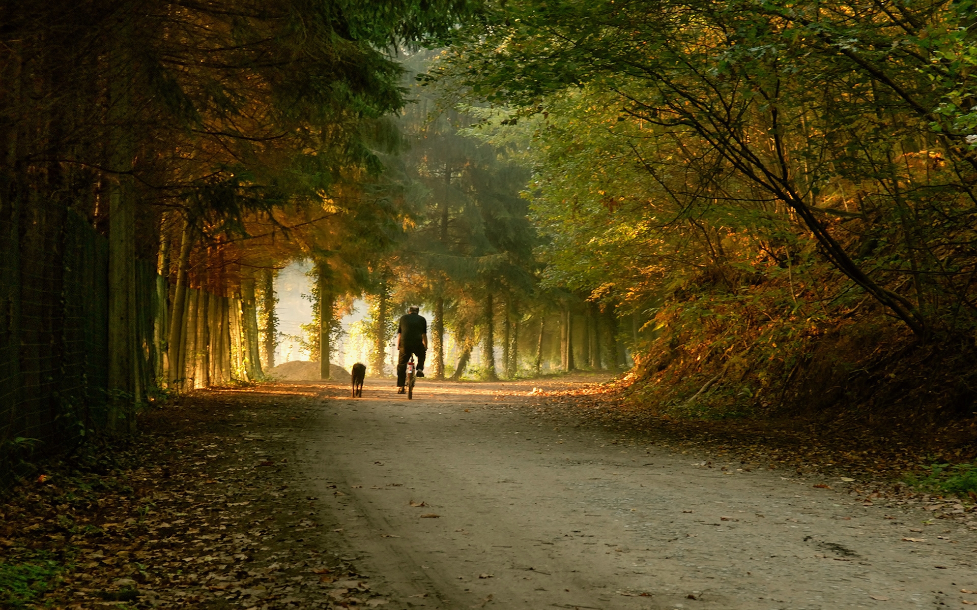 Autumn Fall Countryside Biker Wallpapers