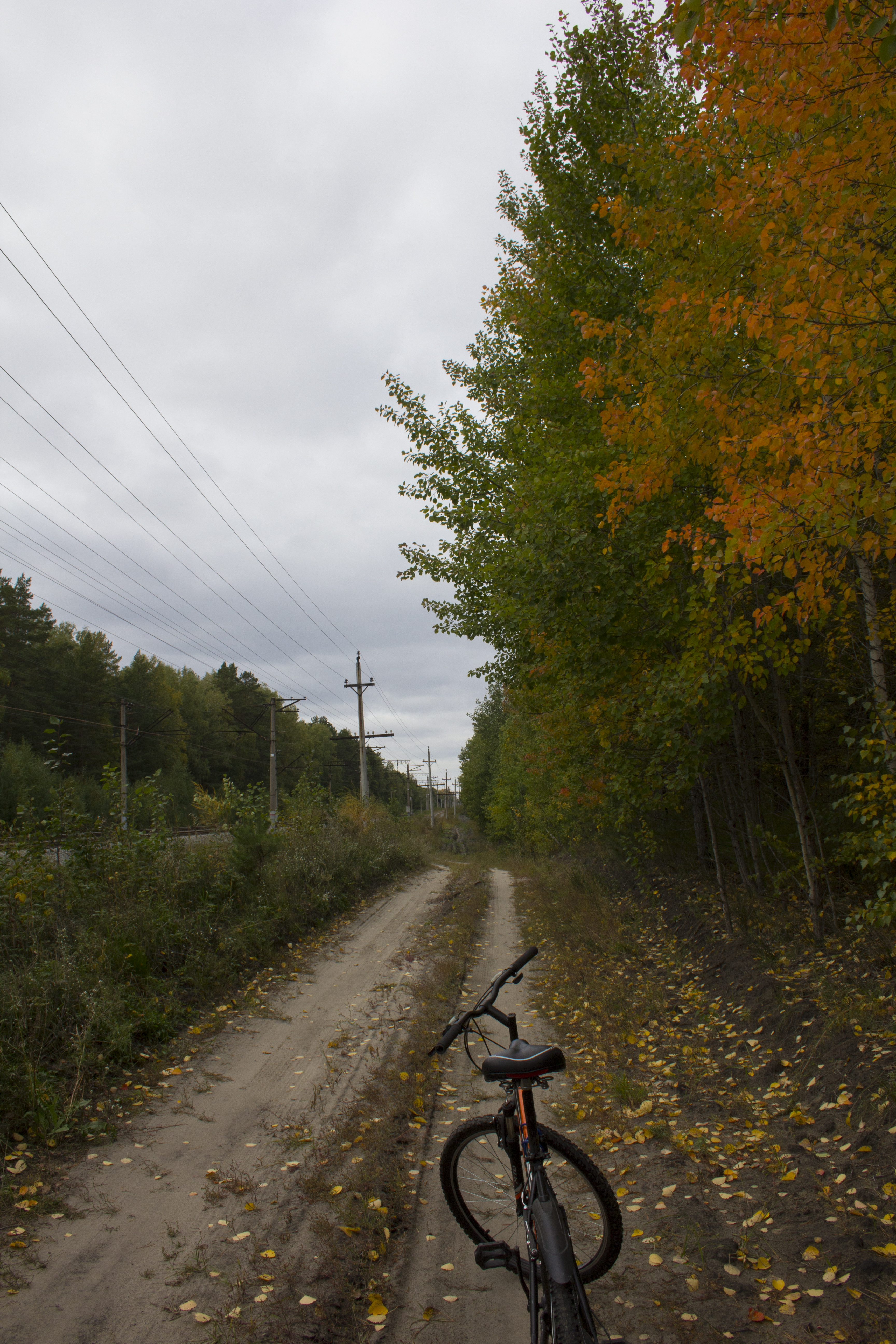 Autumn Fall Countryside Biker Wallpapers