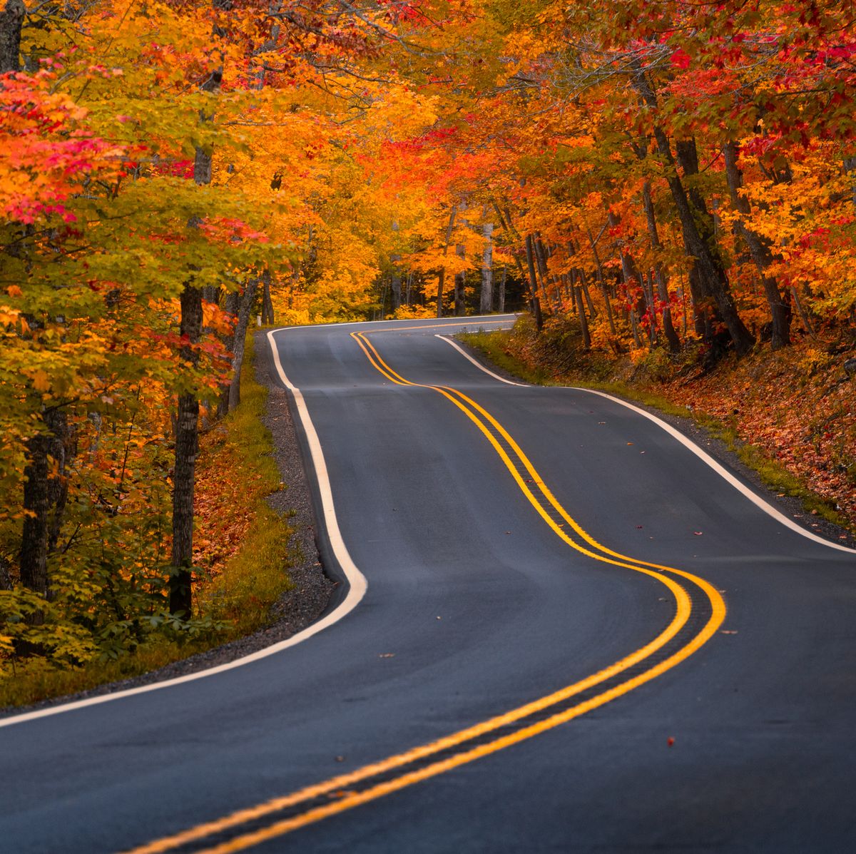 Autumn Fall Countryside Biker Wallpapers