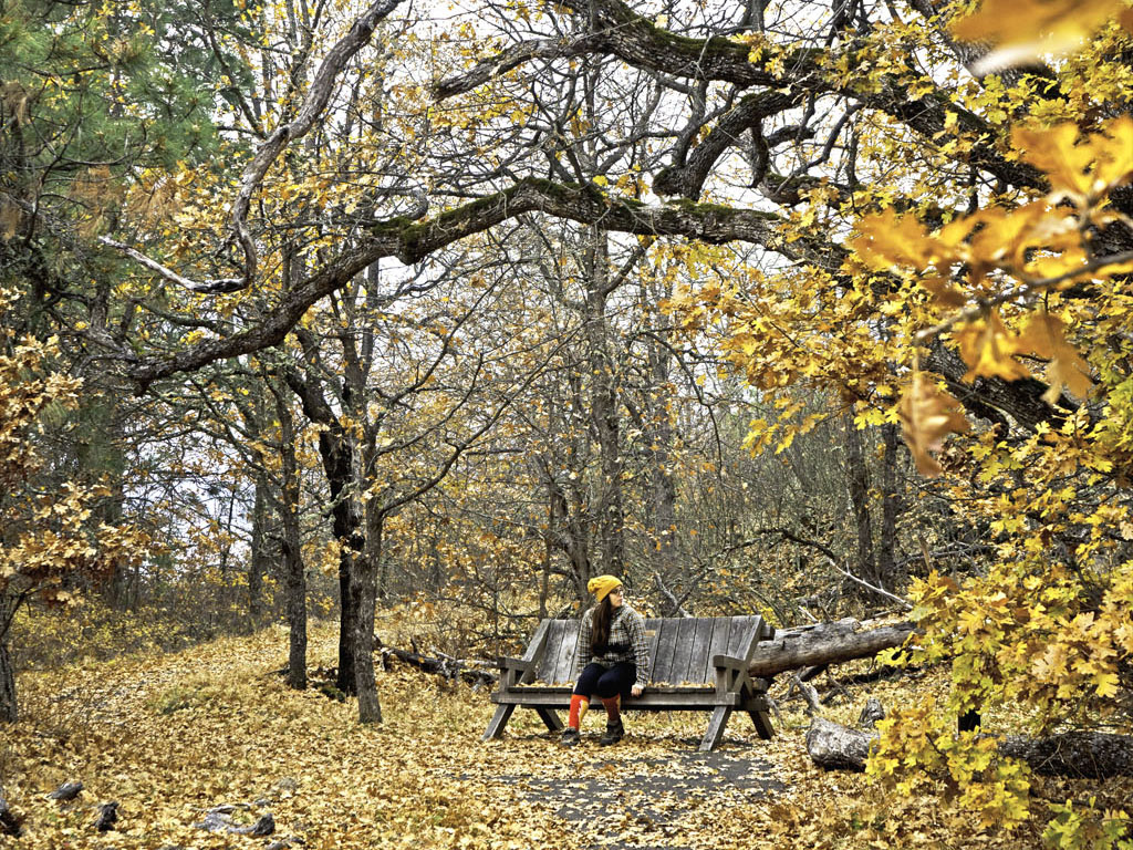 Autumn Fall Countryside Biker Wallpapers