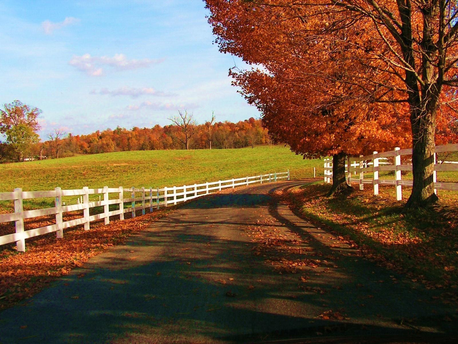 Autumn Fall Countryside Biker Wallpapers