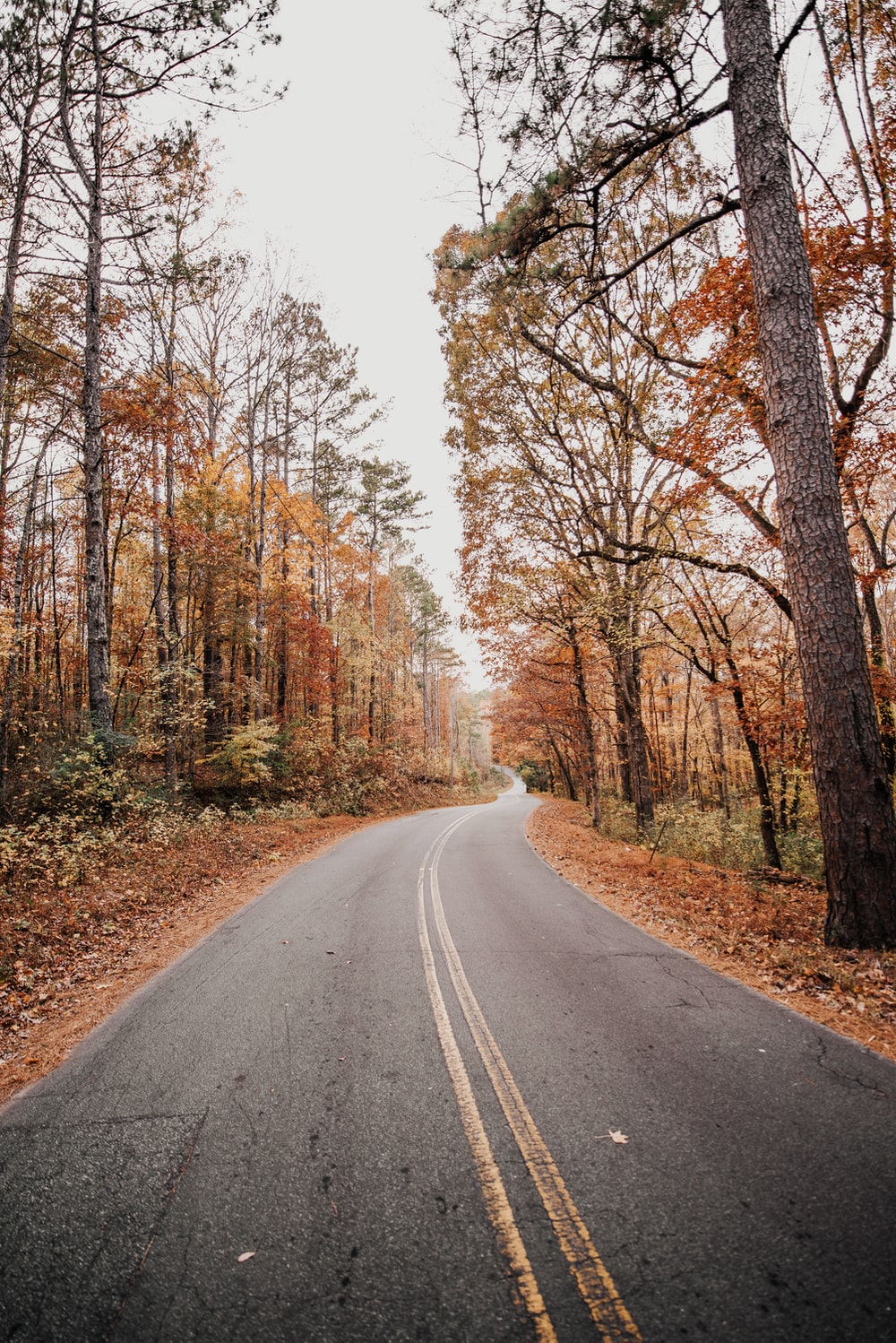 Autumn Fall Road Wallpapers