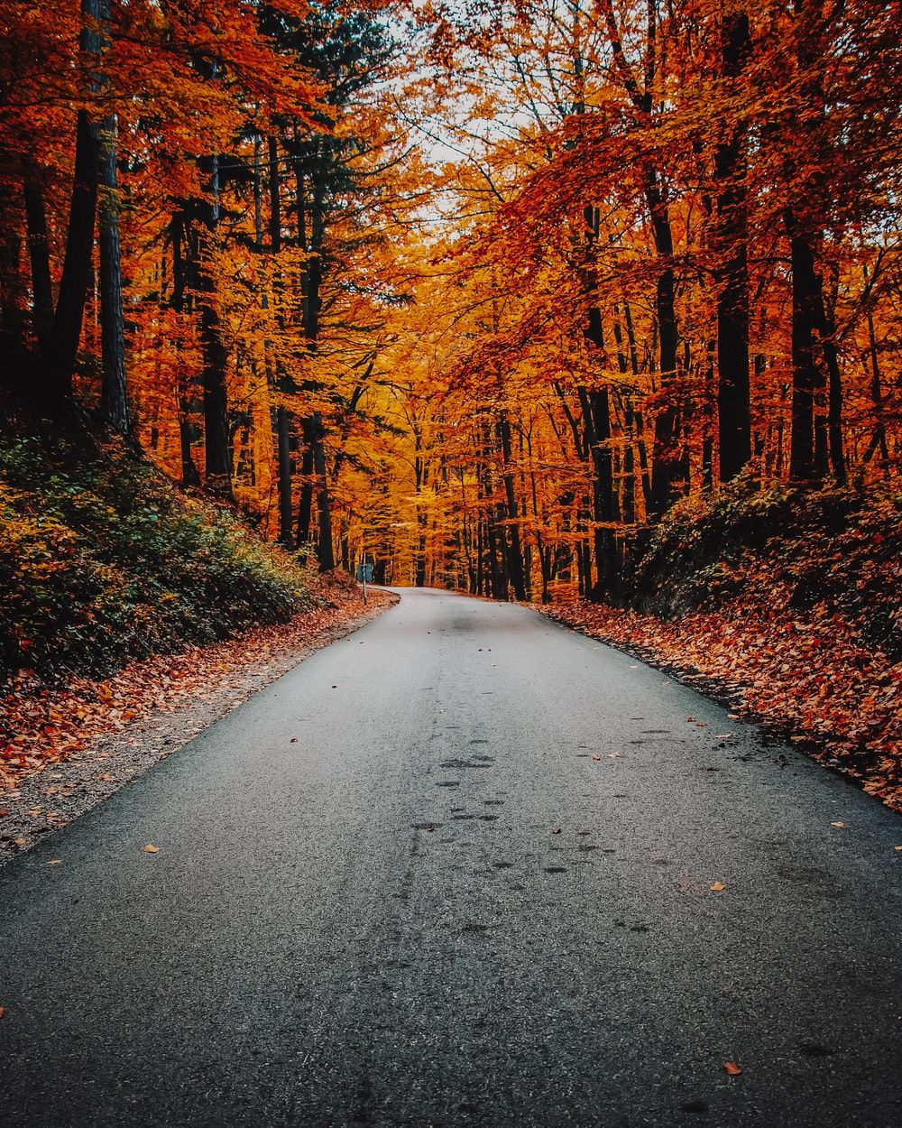 Autumn Fall Road Wallpapers