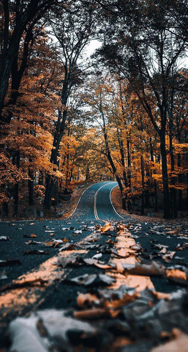 Autumn Fall Road Wallpapers