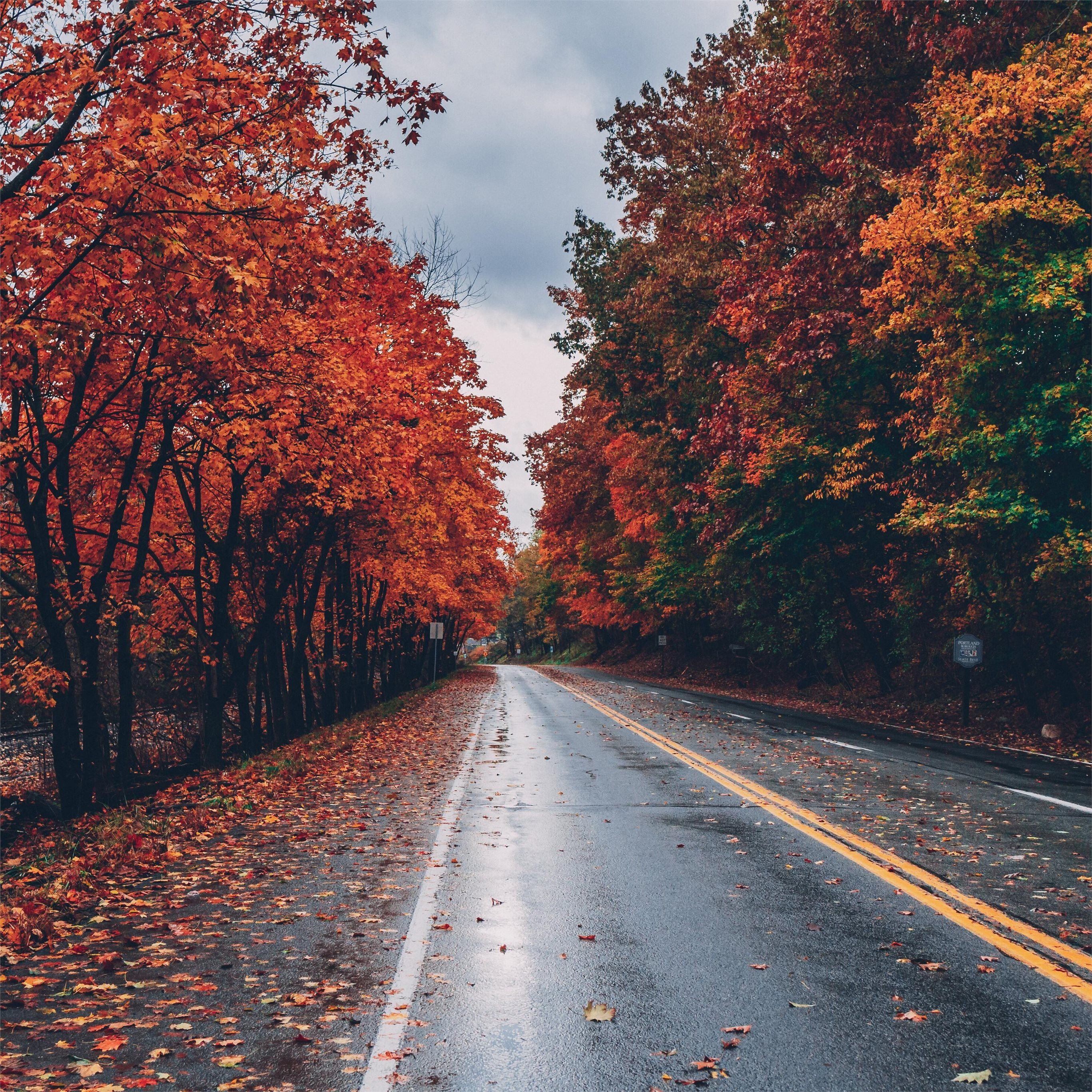 Autumn Fall Road Wallpapers