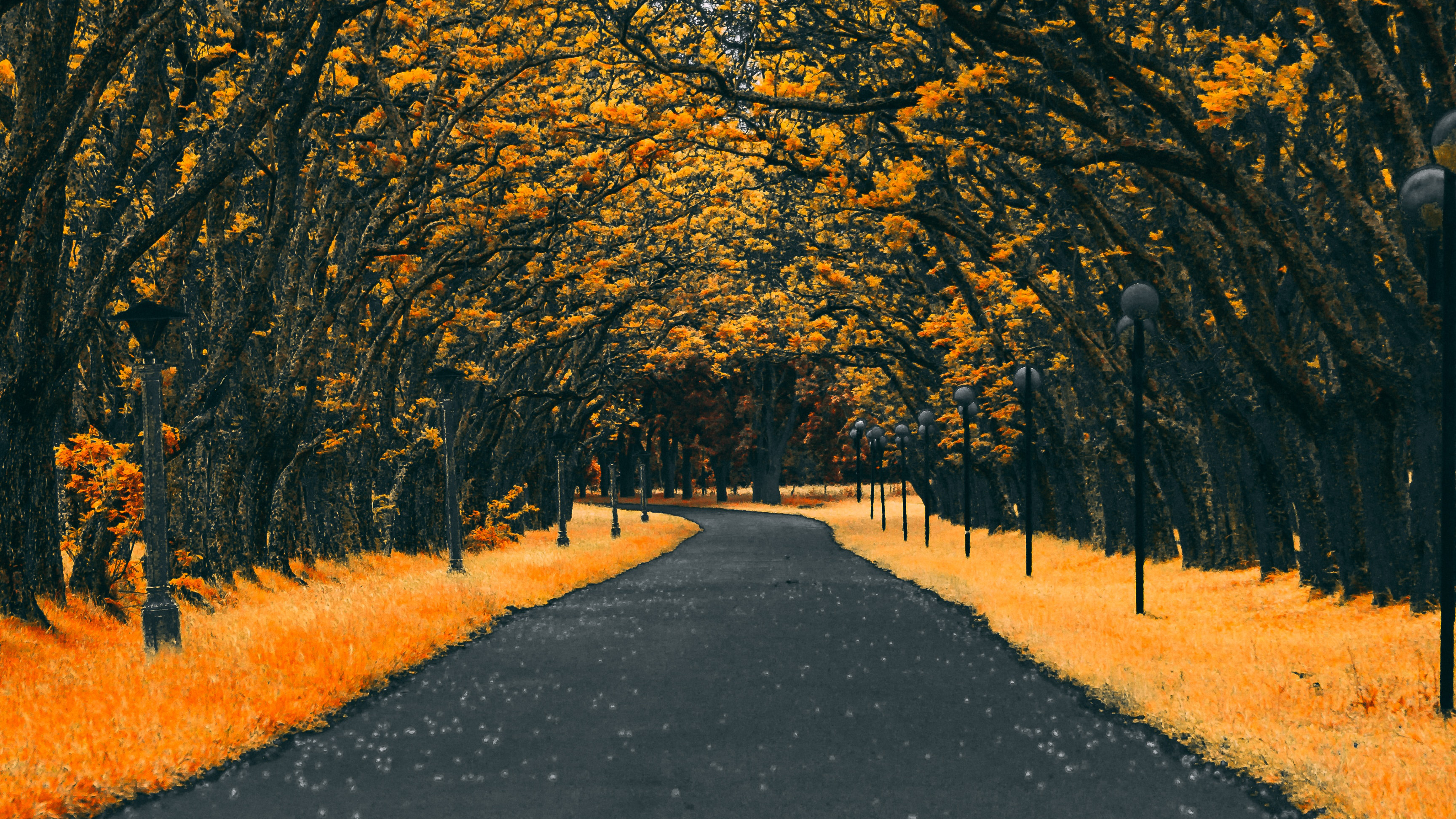 Autumn Fall Road Wallpapers