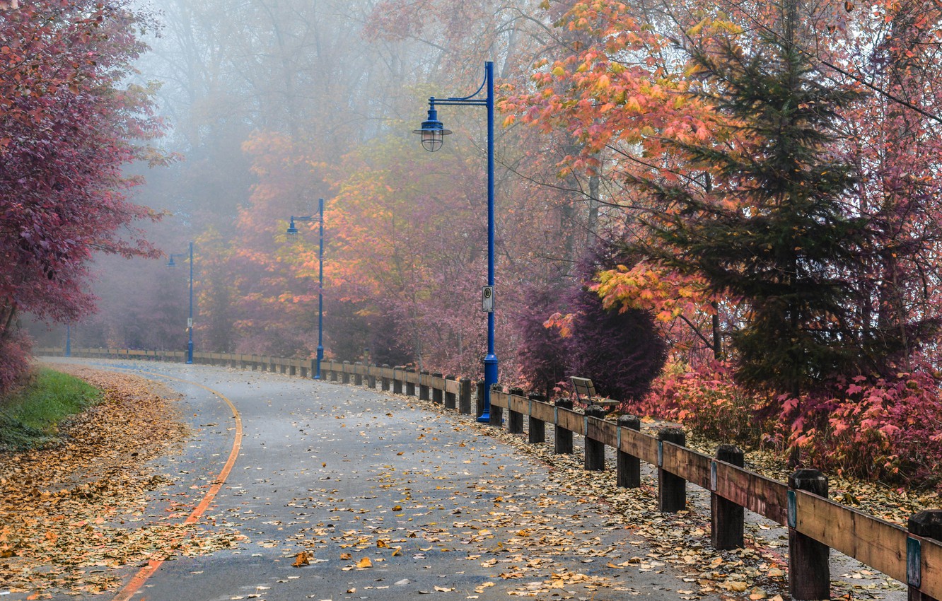 Autumn Fall Road Wallpapers