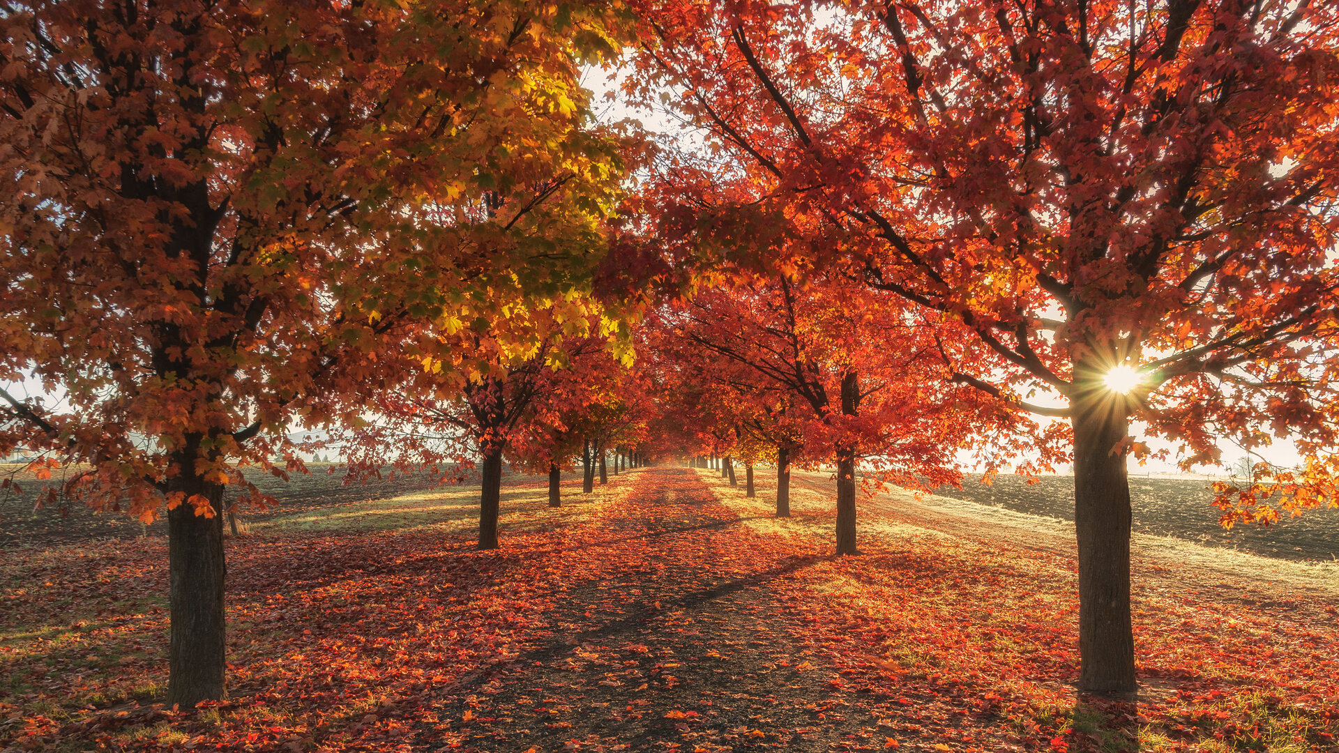 Autumn Fall Wallpapers