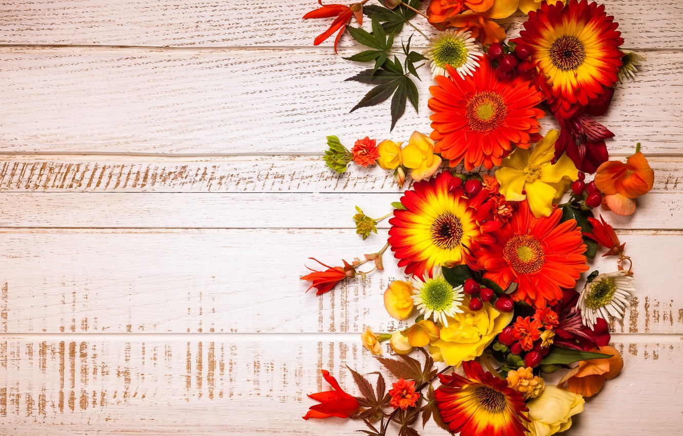 Autumn Flowers Wallpapers