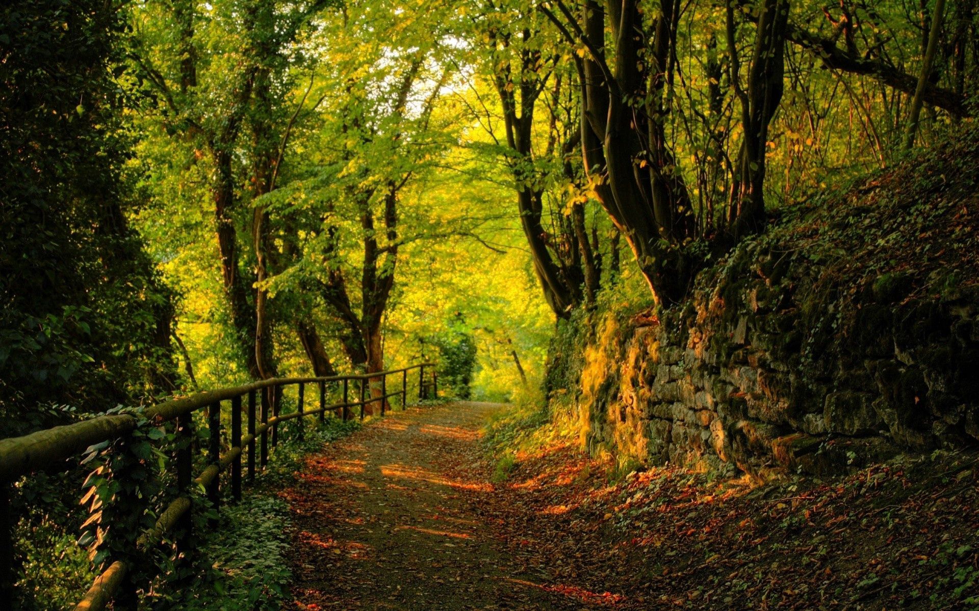 Autumn Forest Path Hd Wallpapers