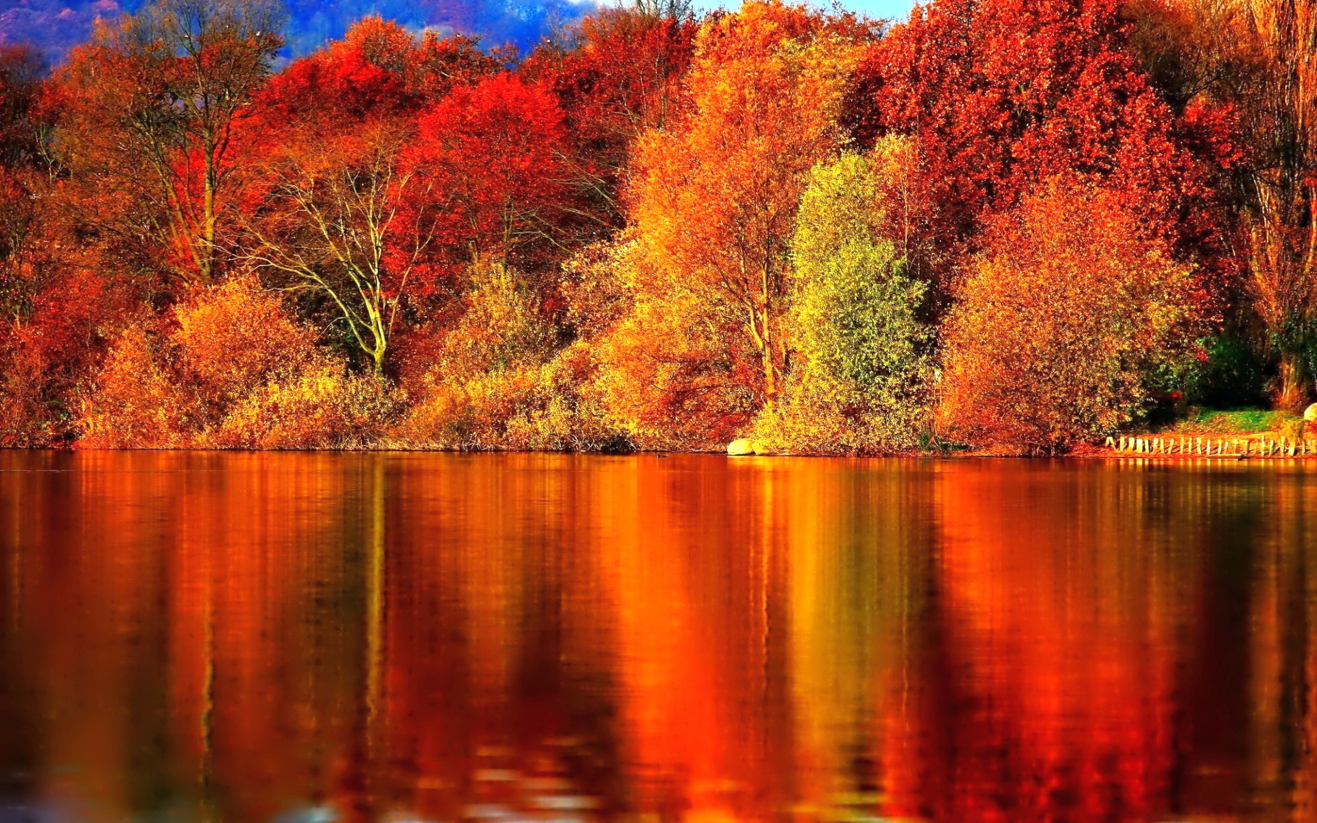 Autumn Forest Wallpapers