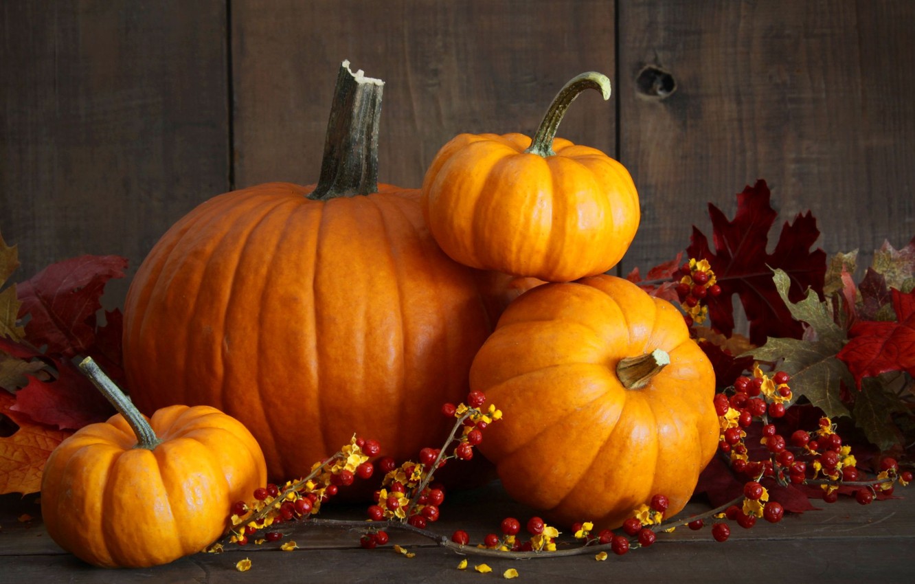 Autumn Harvest Pumpkin Wallpapers