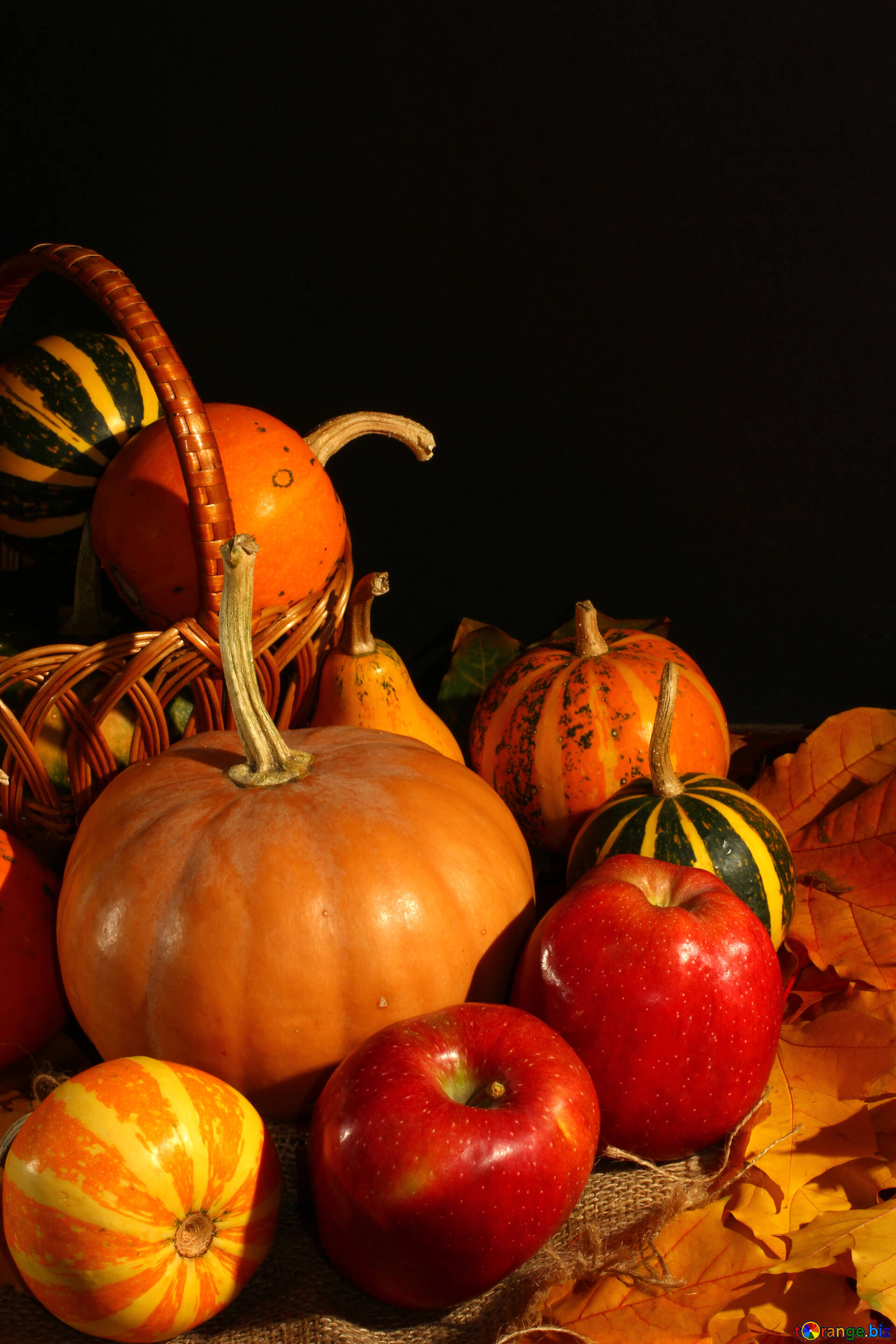 Autumn Harvest Pumpkin Wallpapers