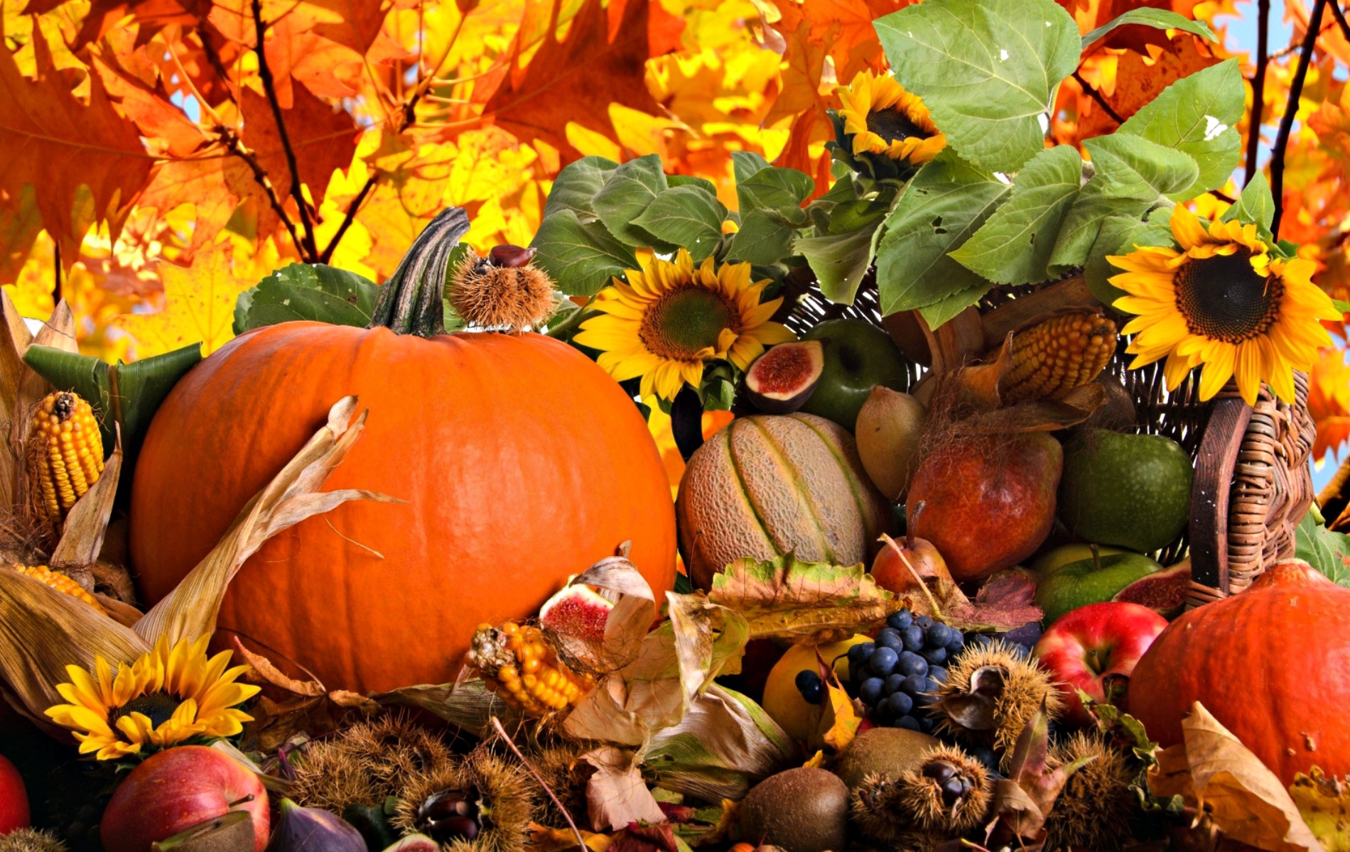 Autumn Harvest Widescreen Wallpapers