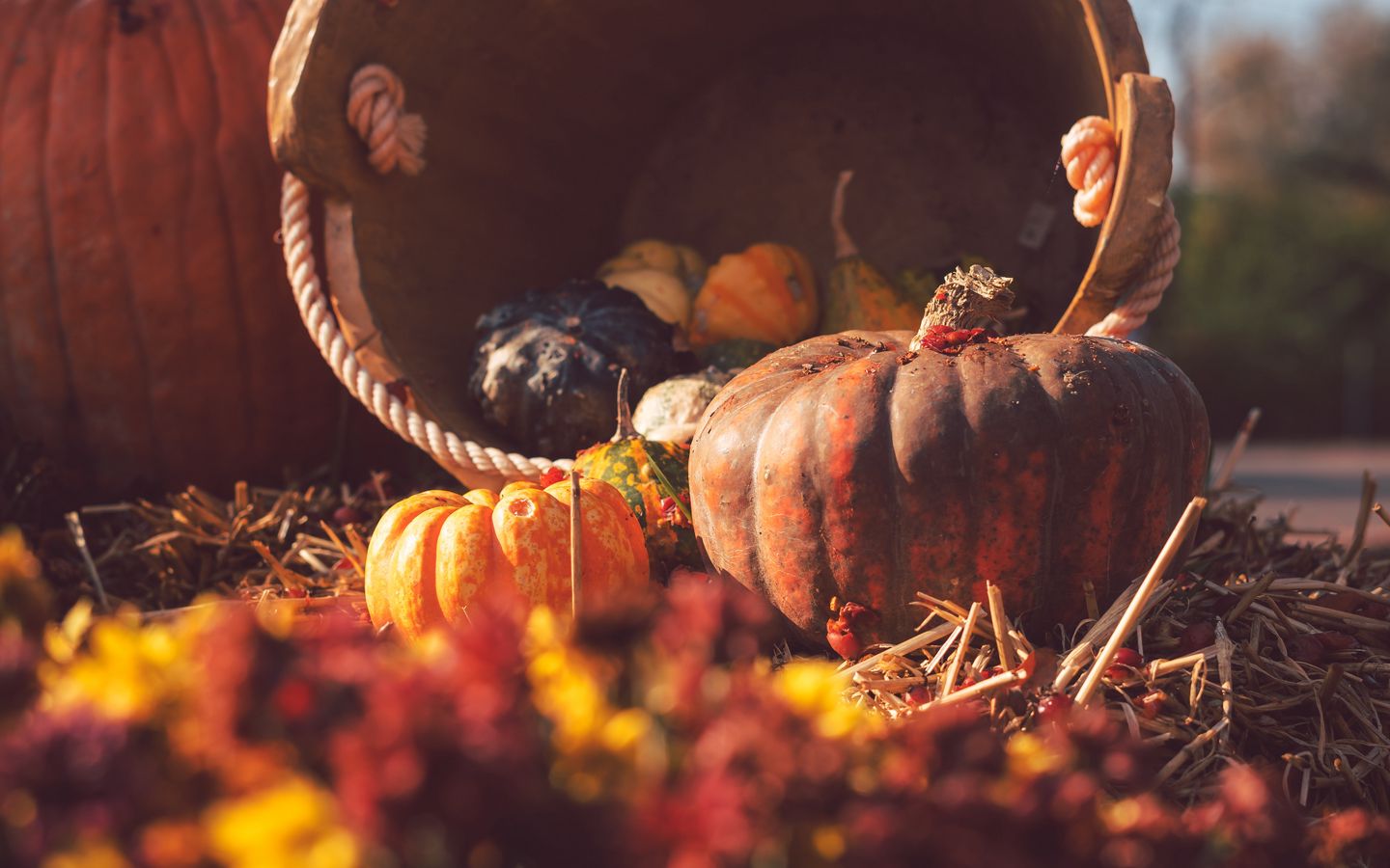 Autumn Harvest Widescreen Wallpapers