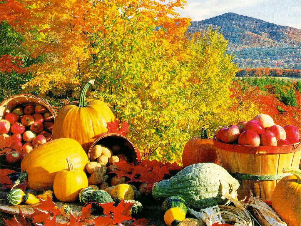 Autumn Harvest Widescreen Wallpapers