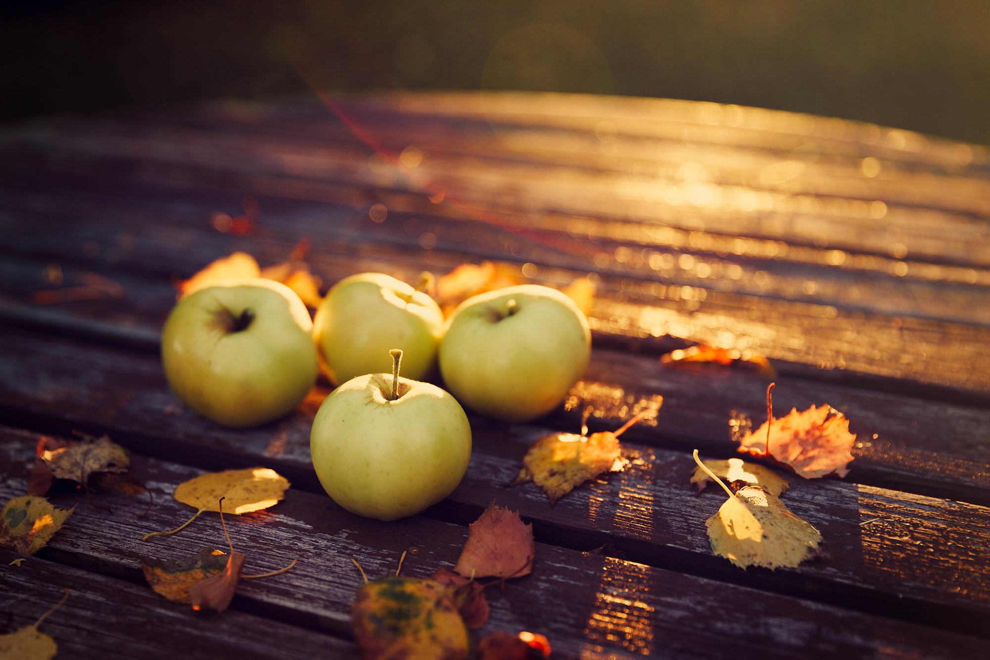 Autumn Harvest Widescreen Wallpapers