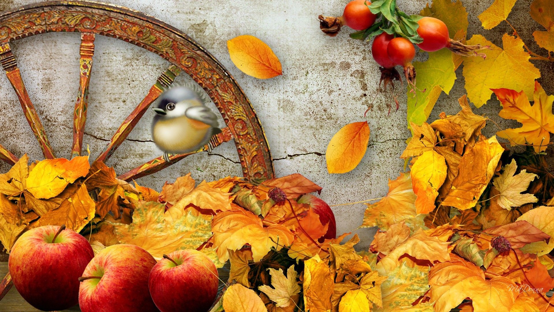 Autumn Harvest Widescreen Wallpapers