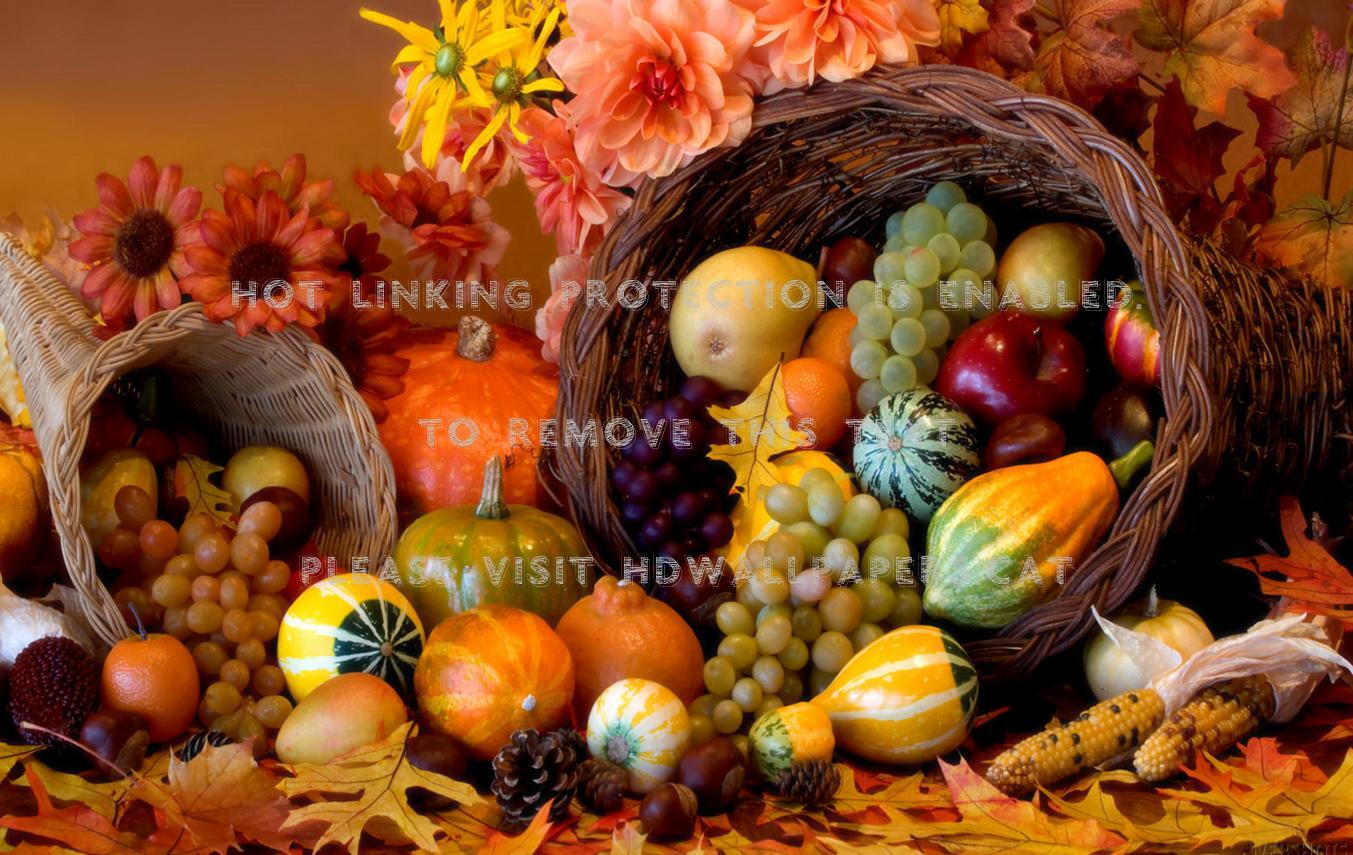 Autumn Harvest Widescreen Wallpapers