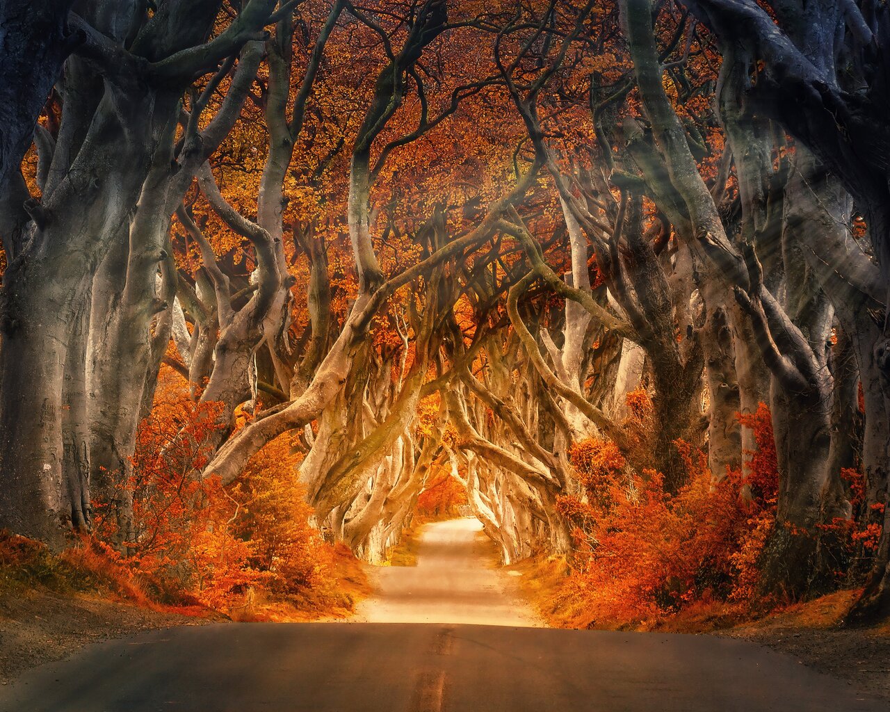 Autumn In Ireland Wallpapers