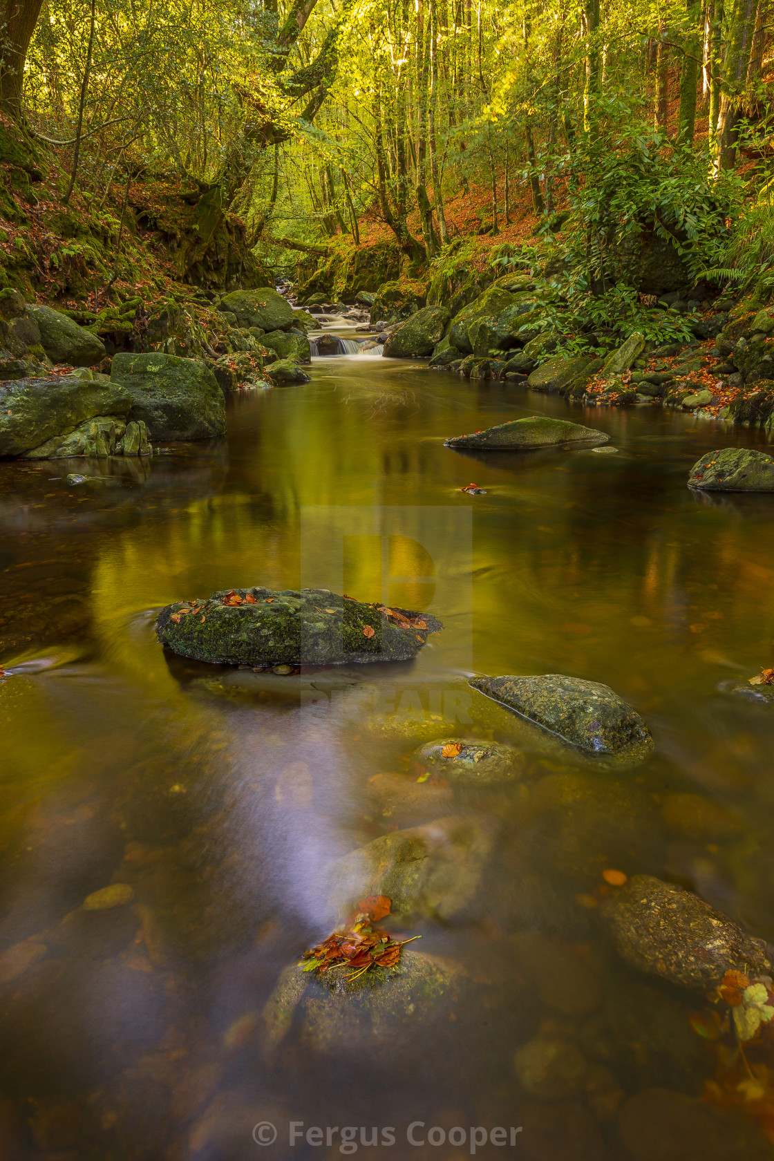 Autumn In Ireland Wallpapers