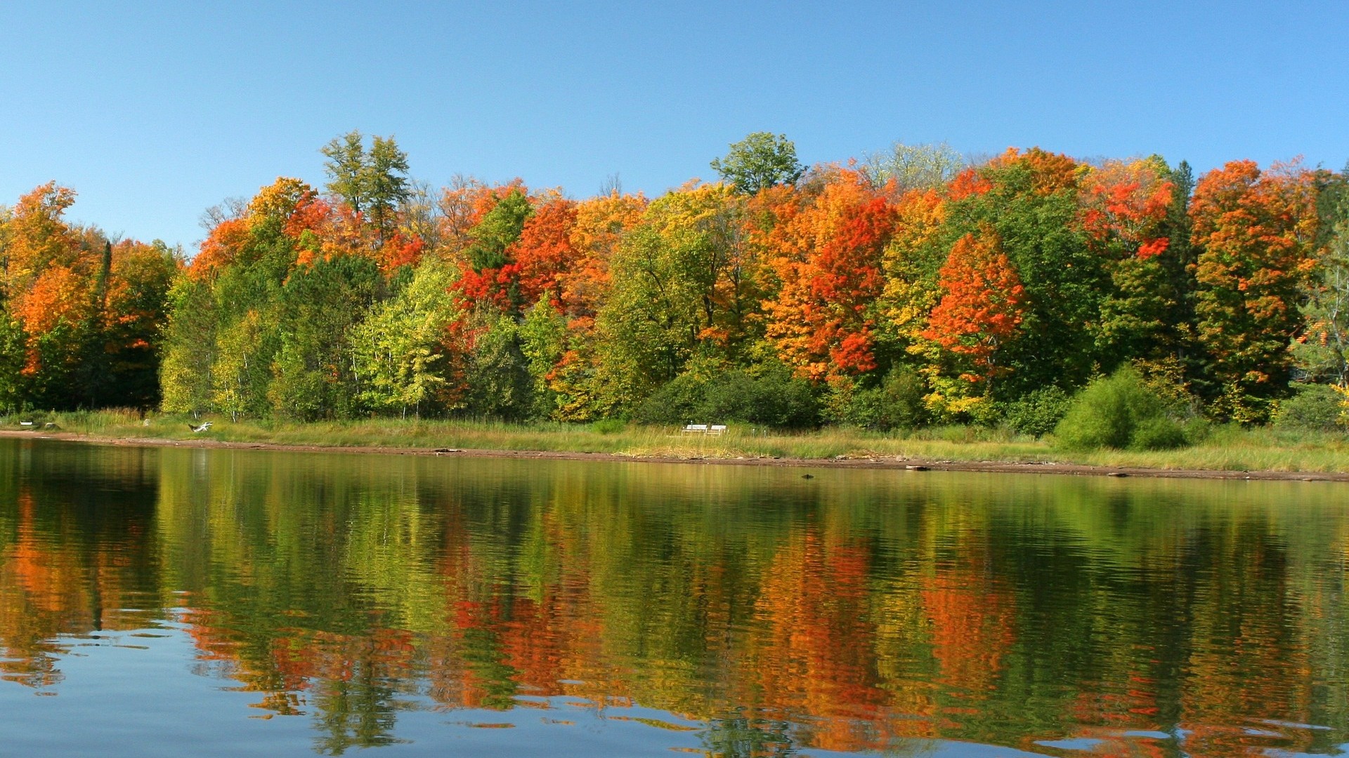 Autumn In Ireland Wallpapers