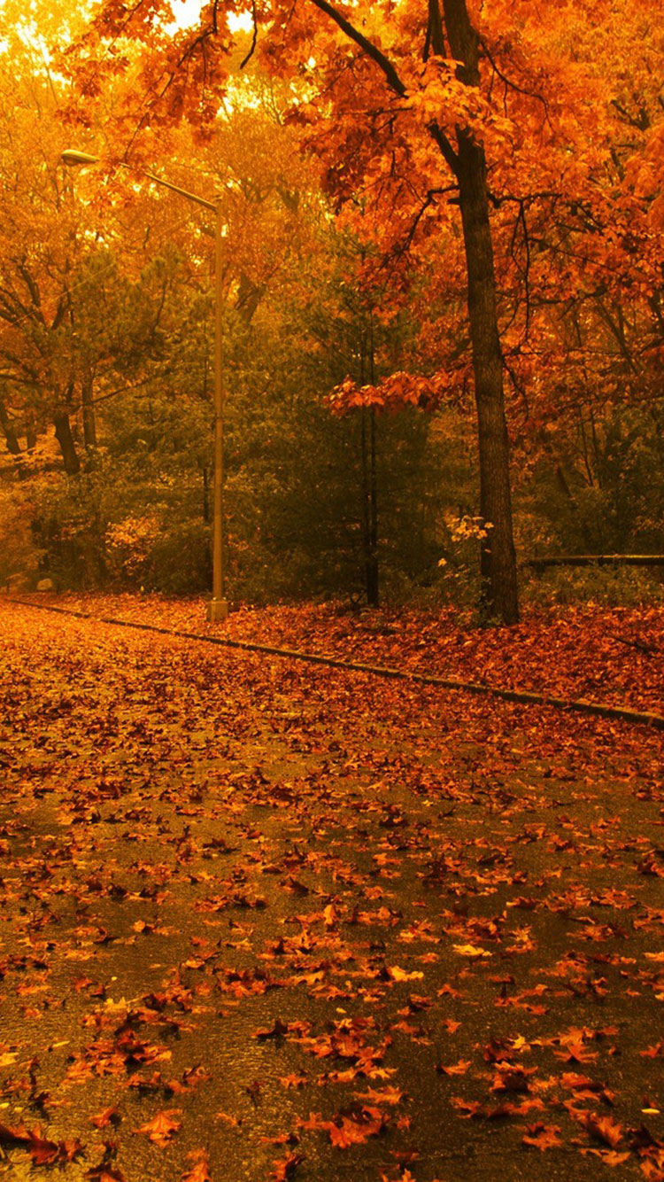 Autumn Iphone Wallpapers