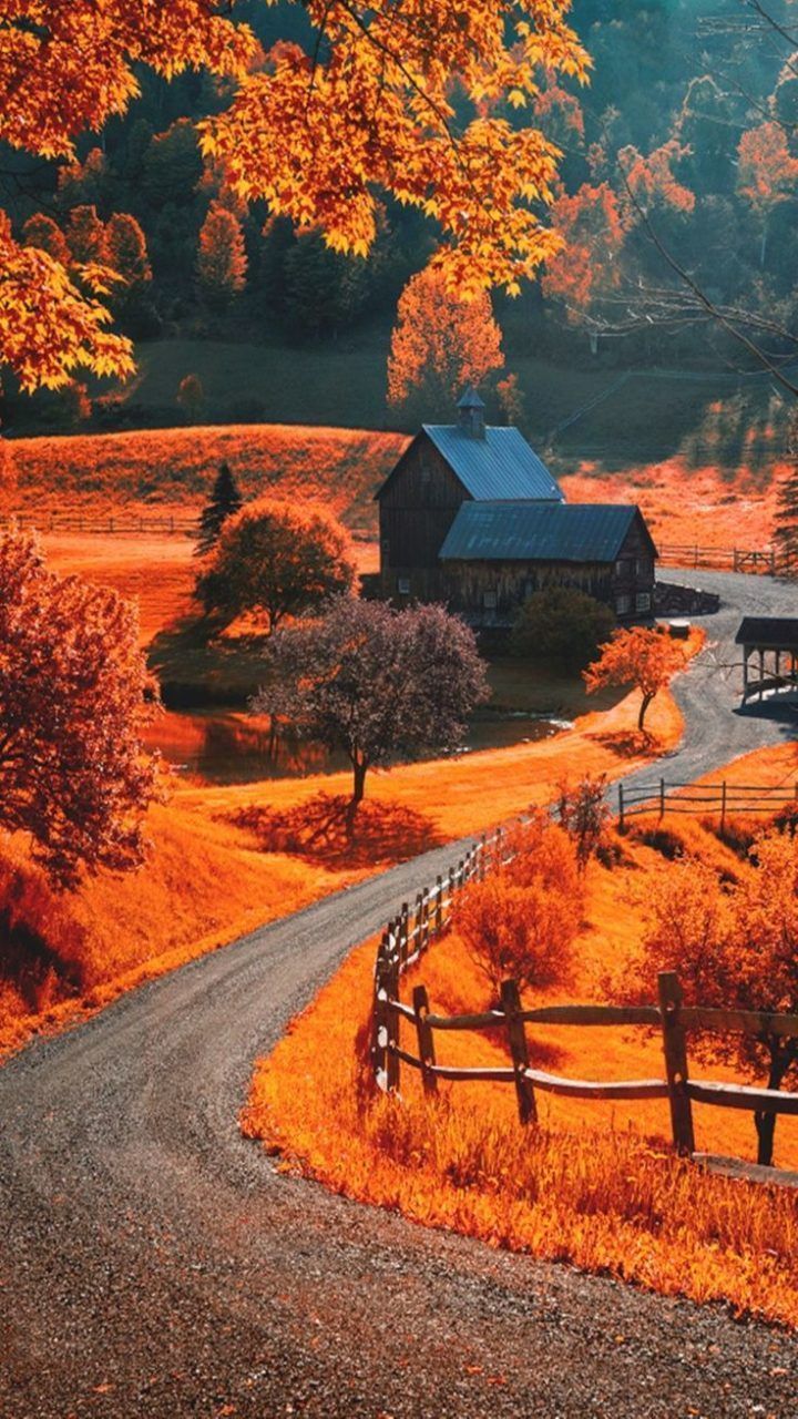 Autumn Landscape Wallpapers