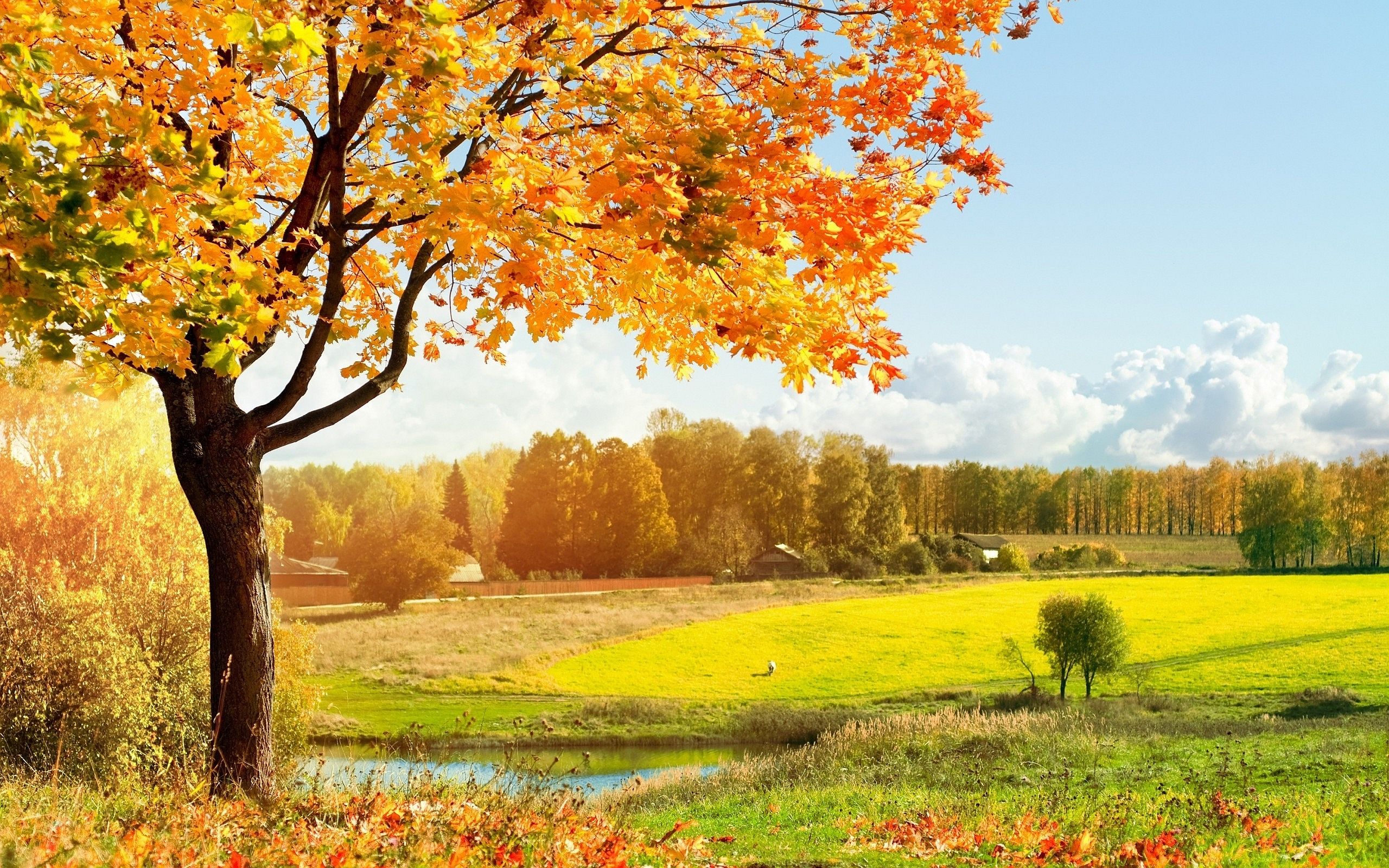 Autumn Landscape Wallpapers