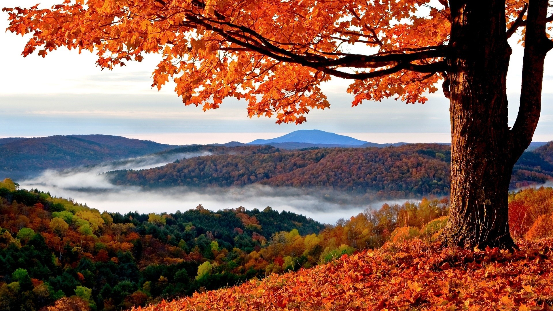 Autumn Landscape Wallpapers