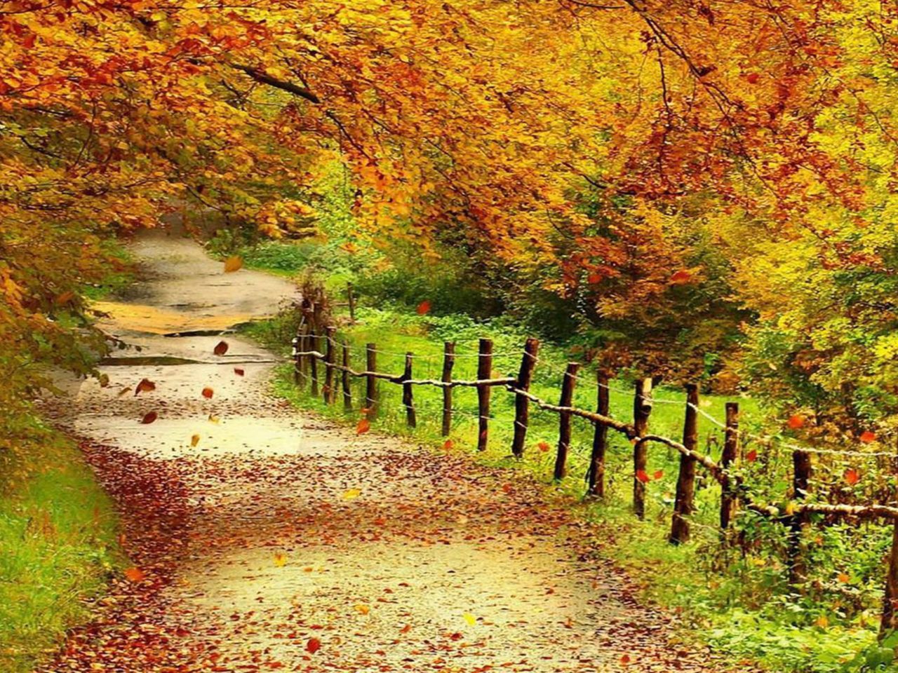 Autumn Landscape Wallpapers