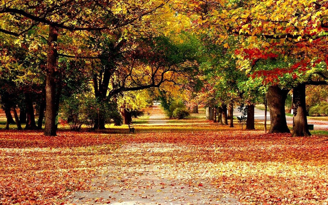 Autumn Landscape Wallpapers