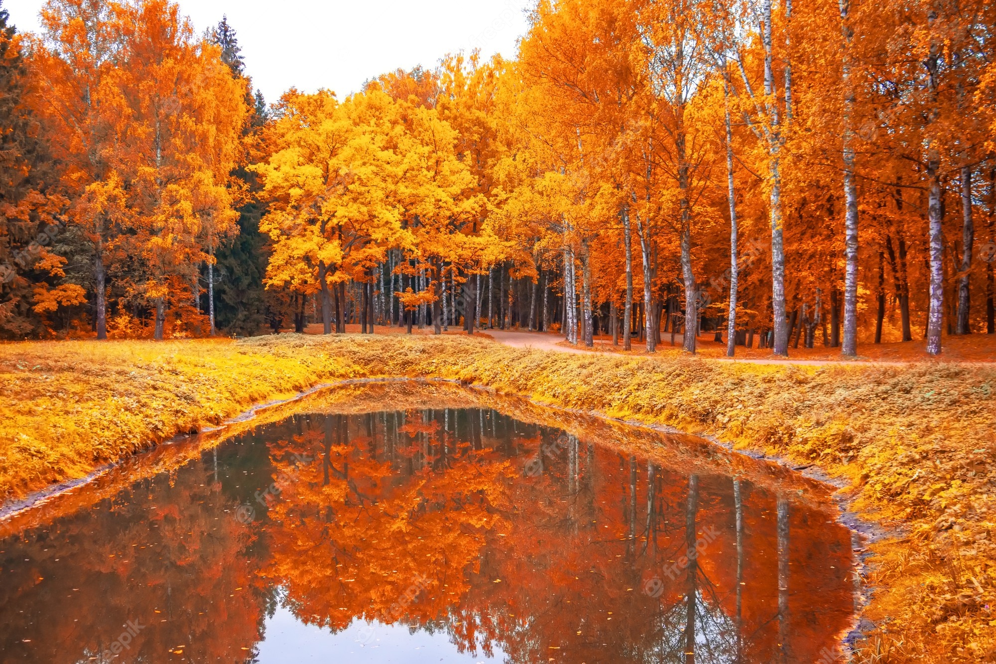Autumn Landscape Wallpapers