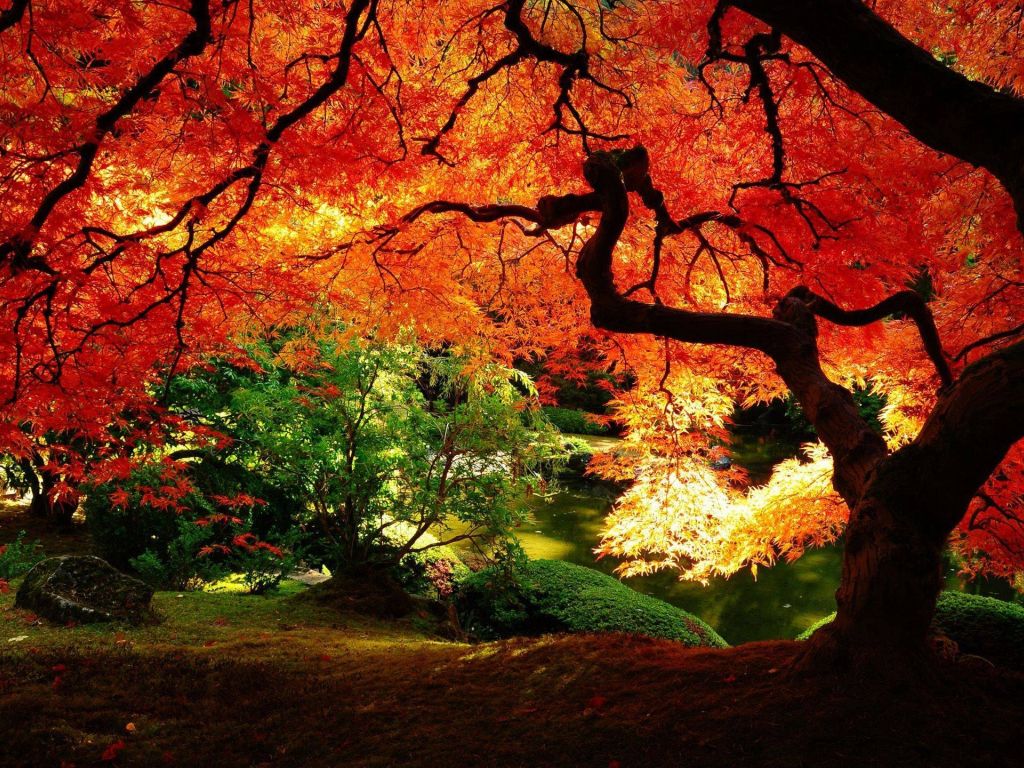 Autumn Landscape Wallpapers