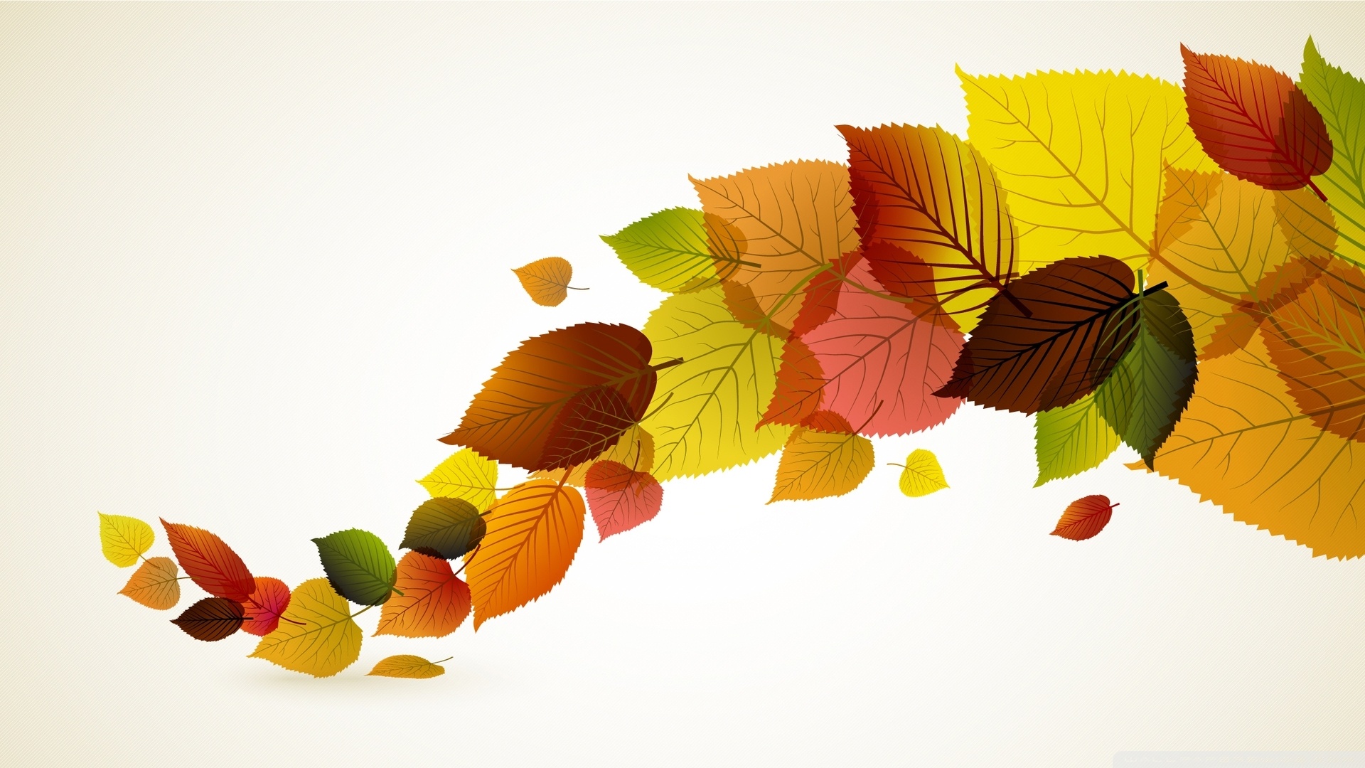 Autumn Leaf Wallpapers