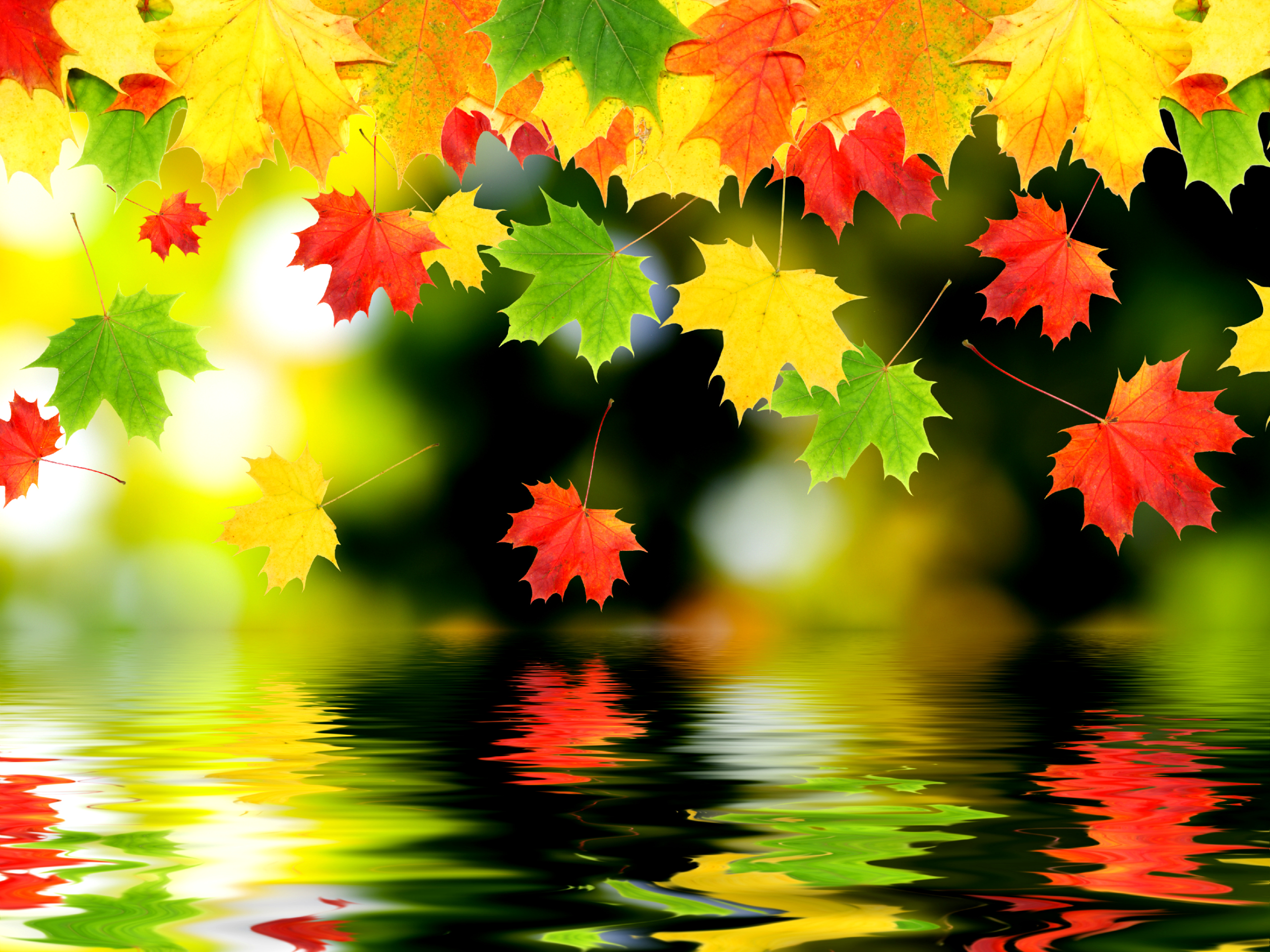 Autumn Leaf Wallpapers