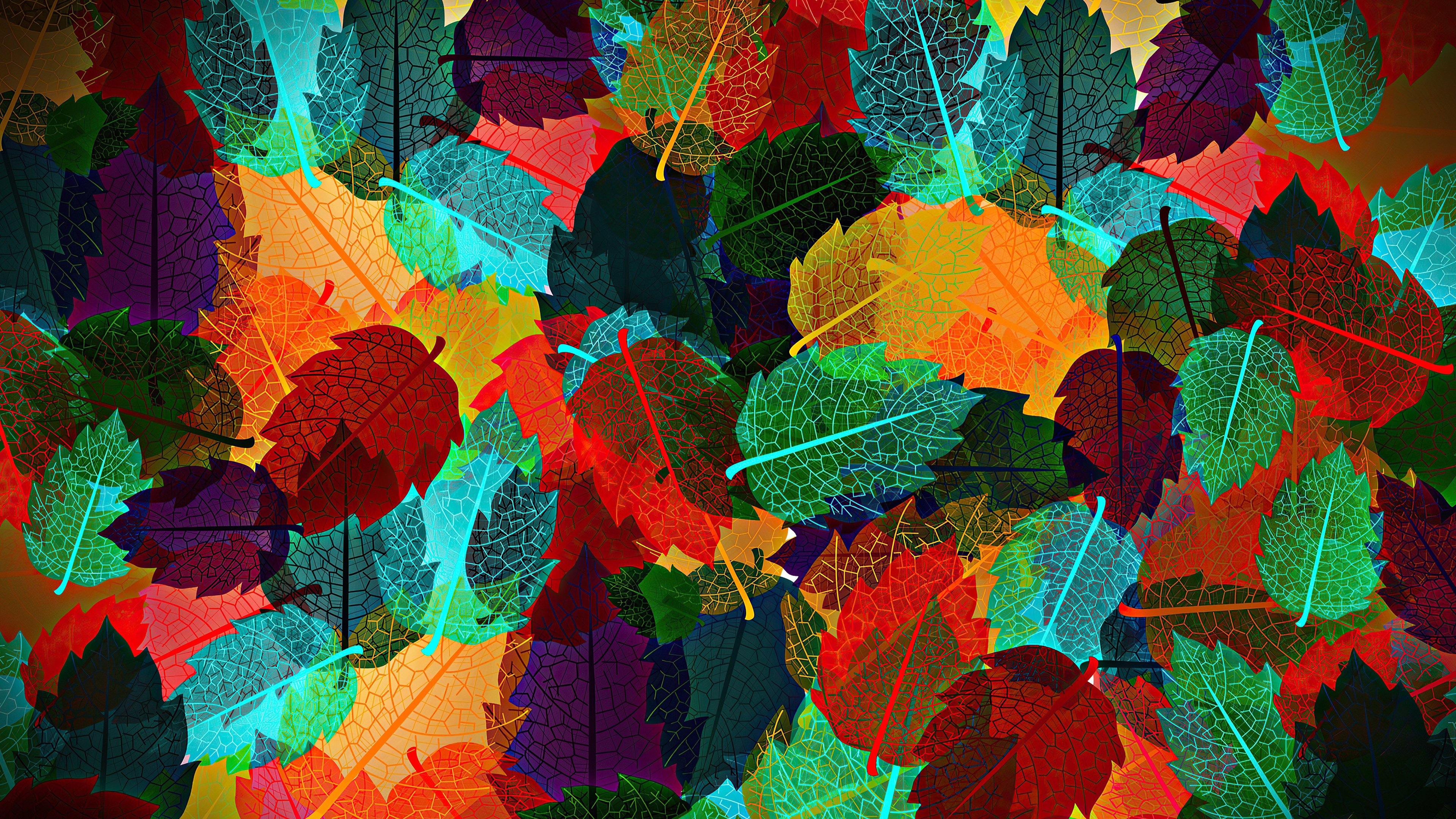 Autumn Leaves 4K Wallpapers