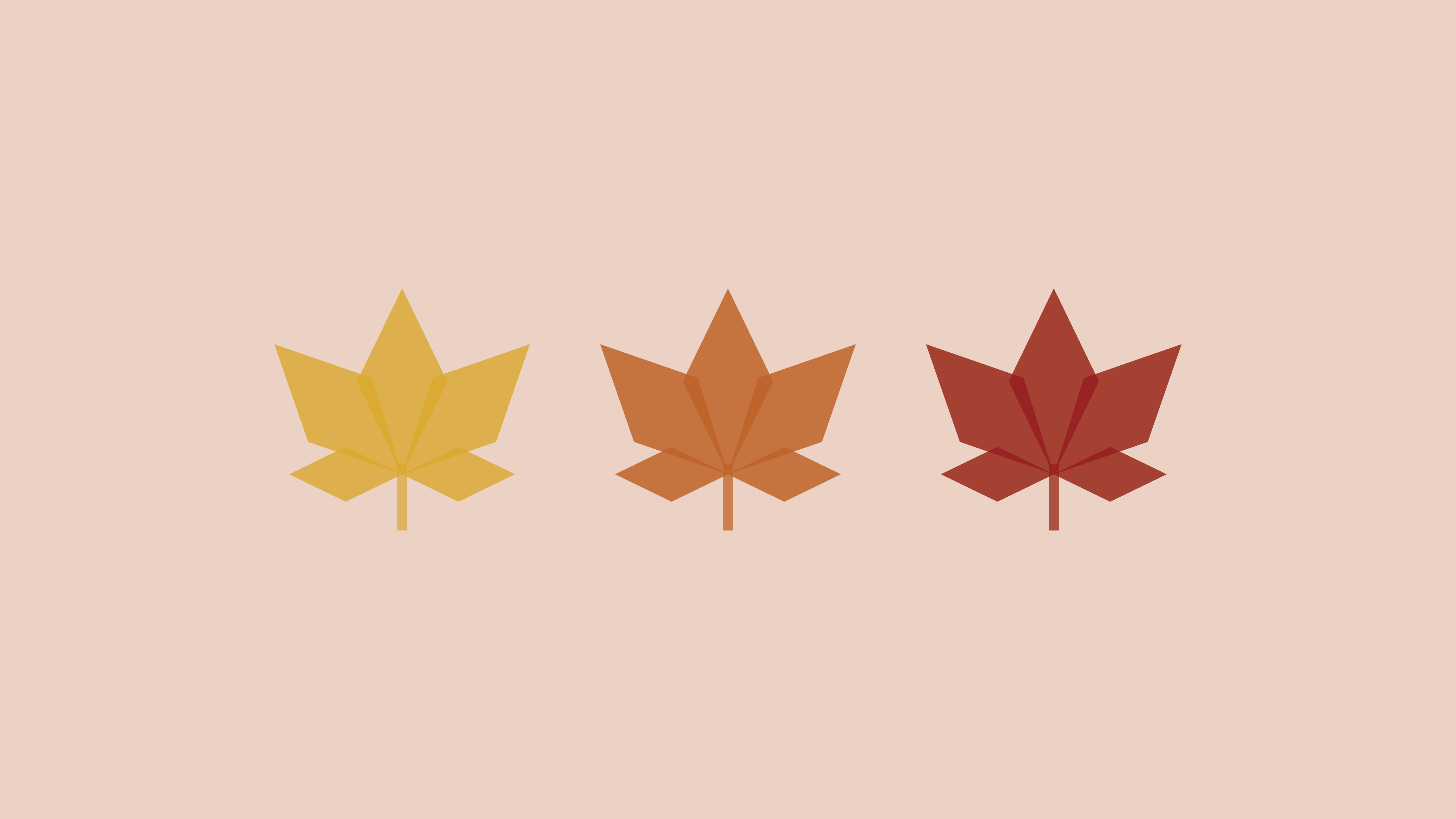 Autumn Leaves Desktop Wallpapers