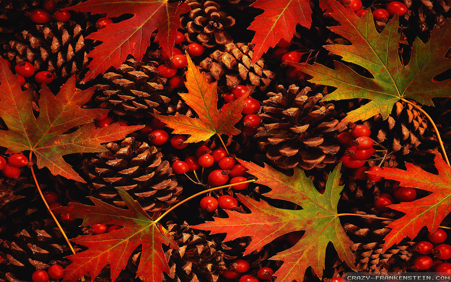 Autumn Leaves Desktop Wallpapers