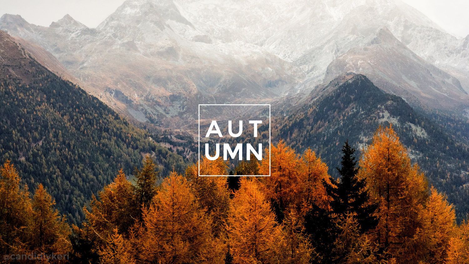 Autumn Macbook Wallpapers