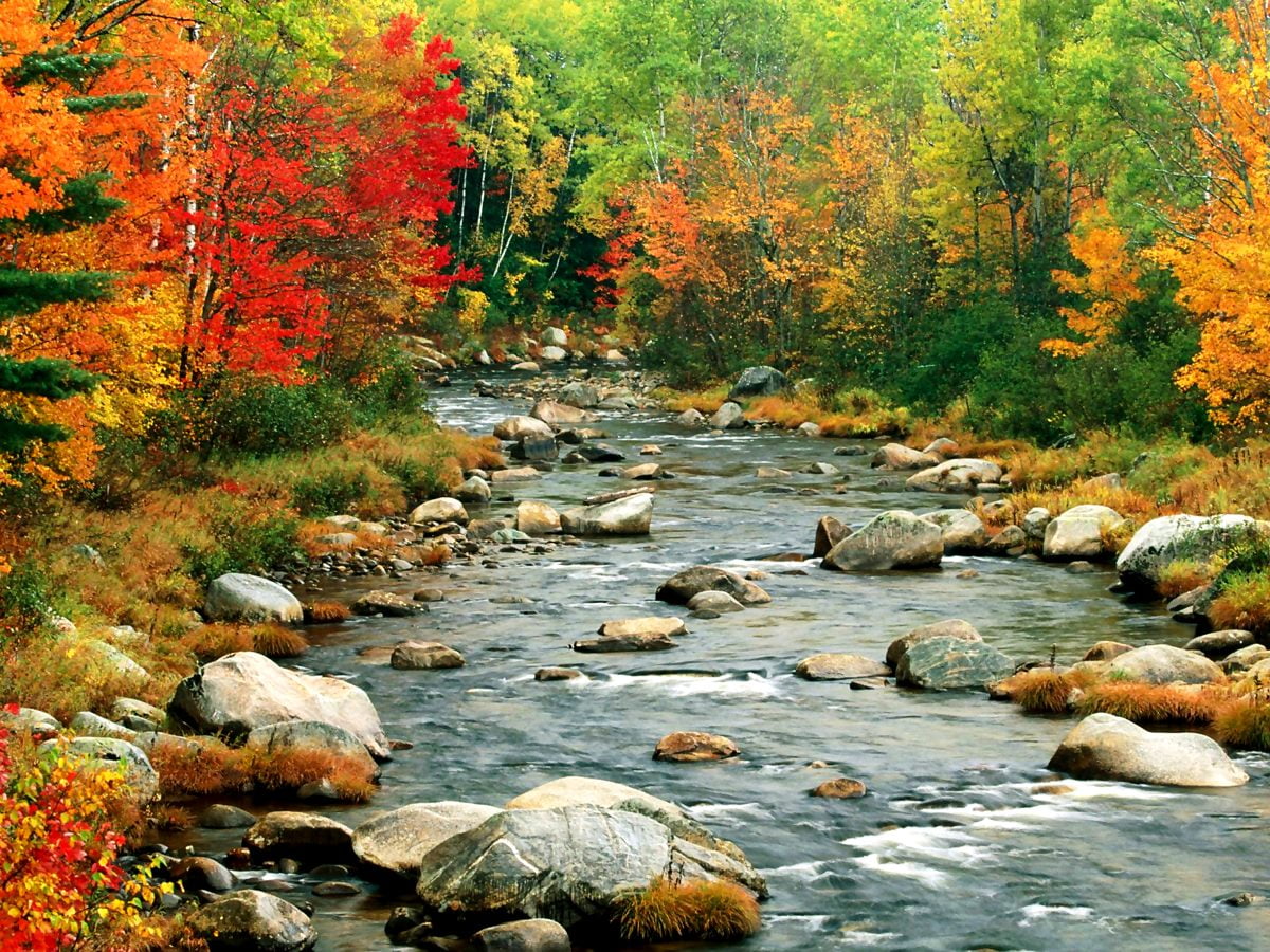 Autumn Mountain Stream Wallpapers