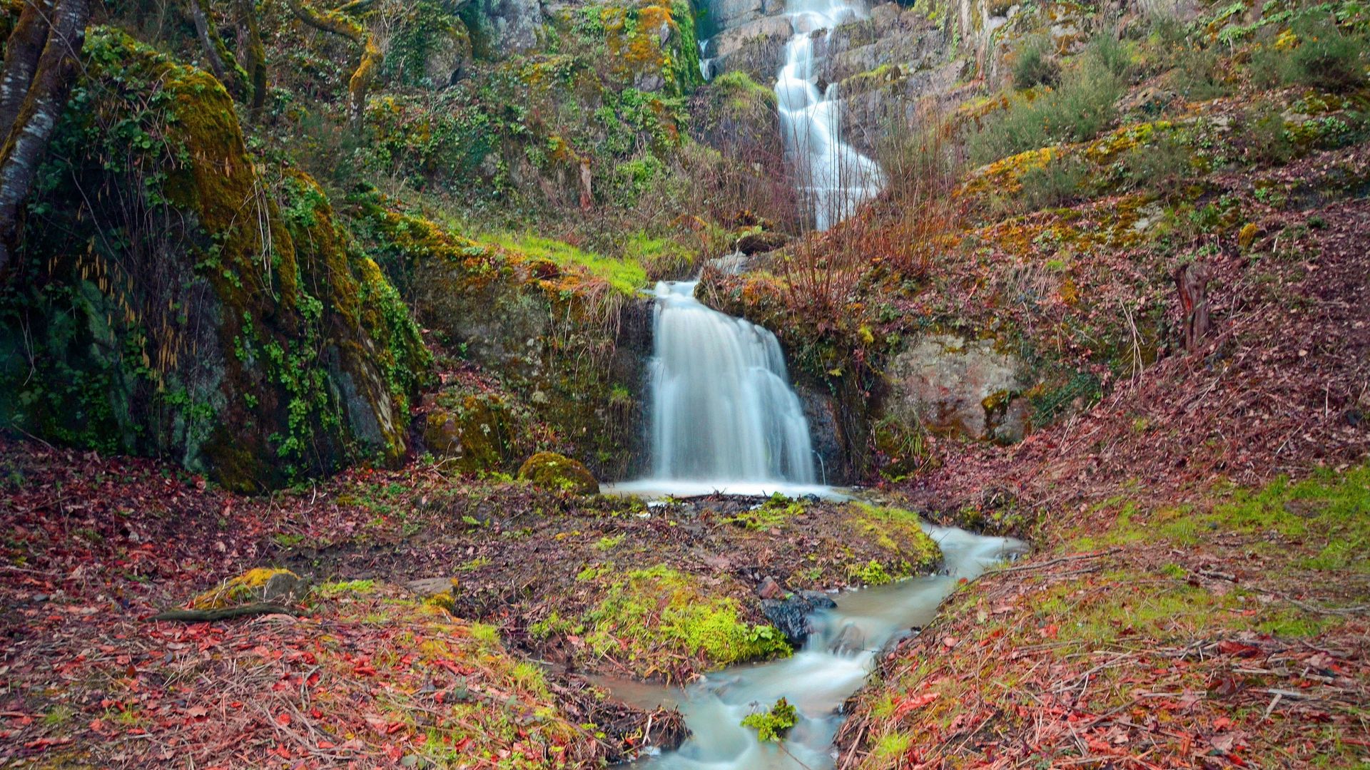 Autumn Mountain Stream Wallpapers