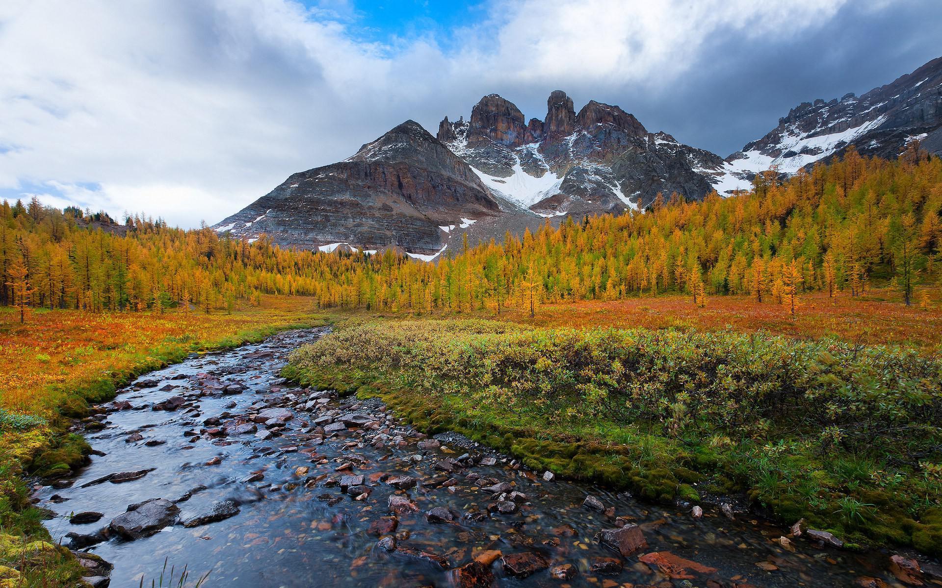 Autumn Mountain Stream Wallpapers