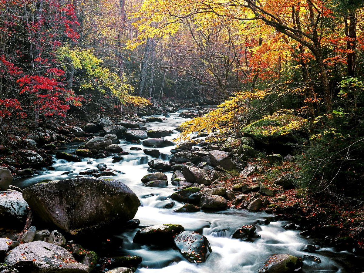 Autumn Mountain Stream Wallpapers