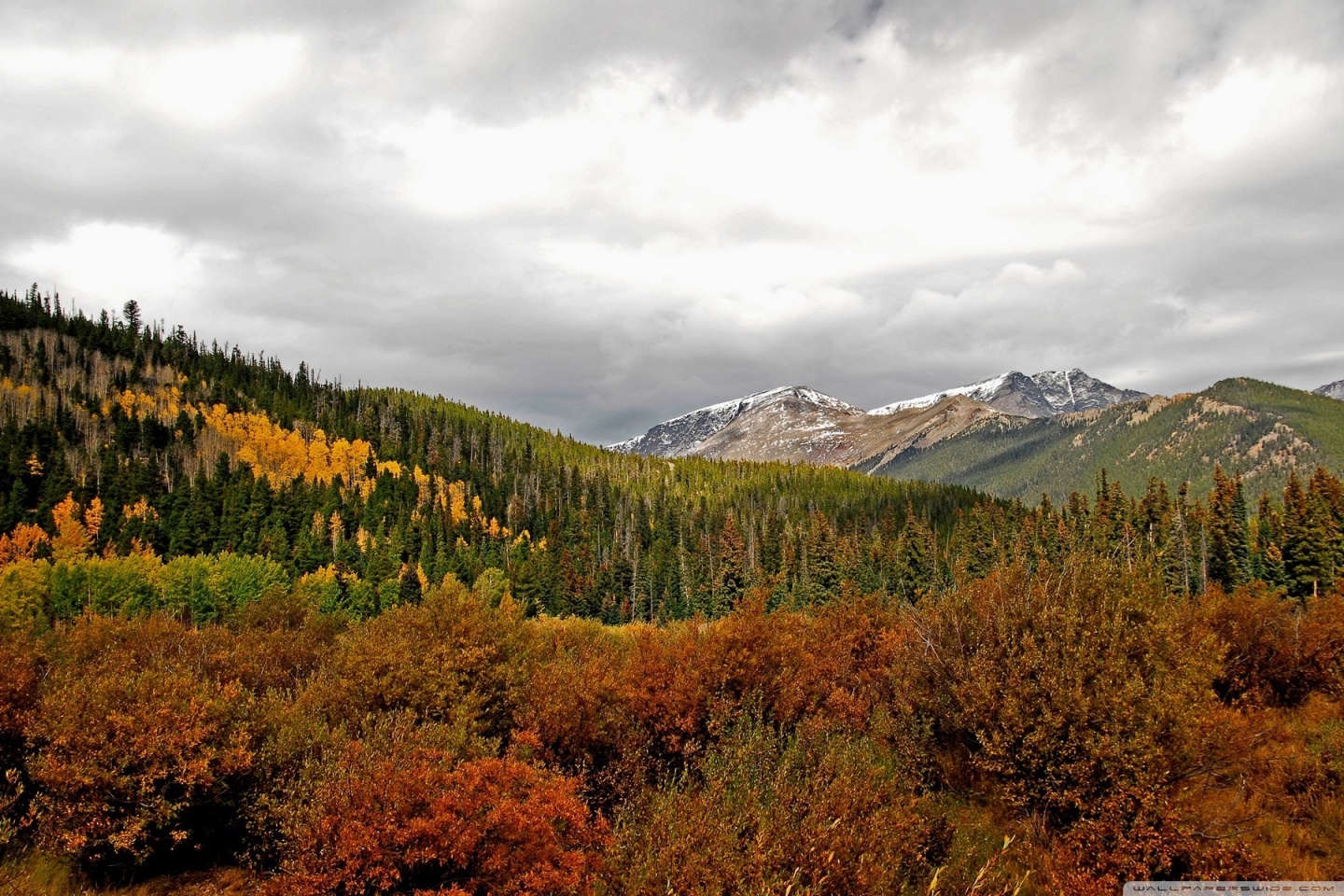 Autumn Mountain Stream Wallpapers